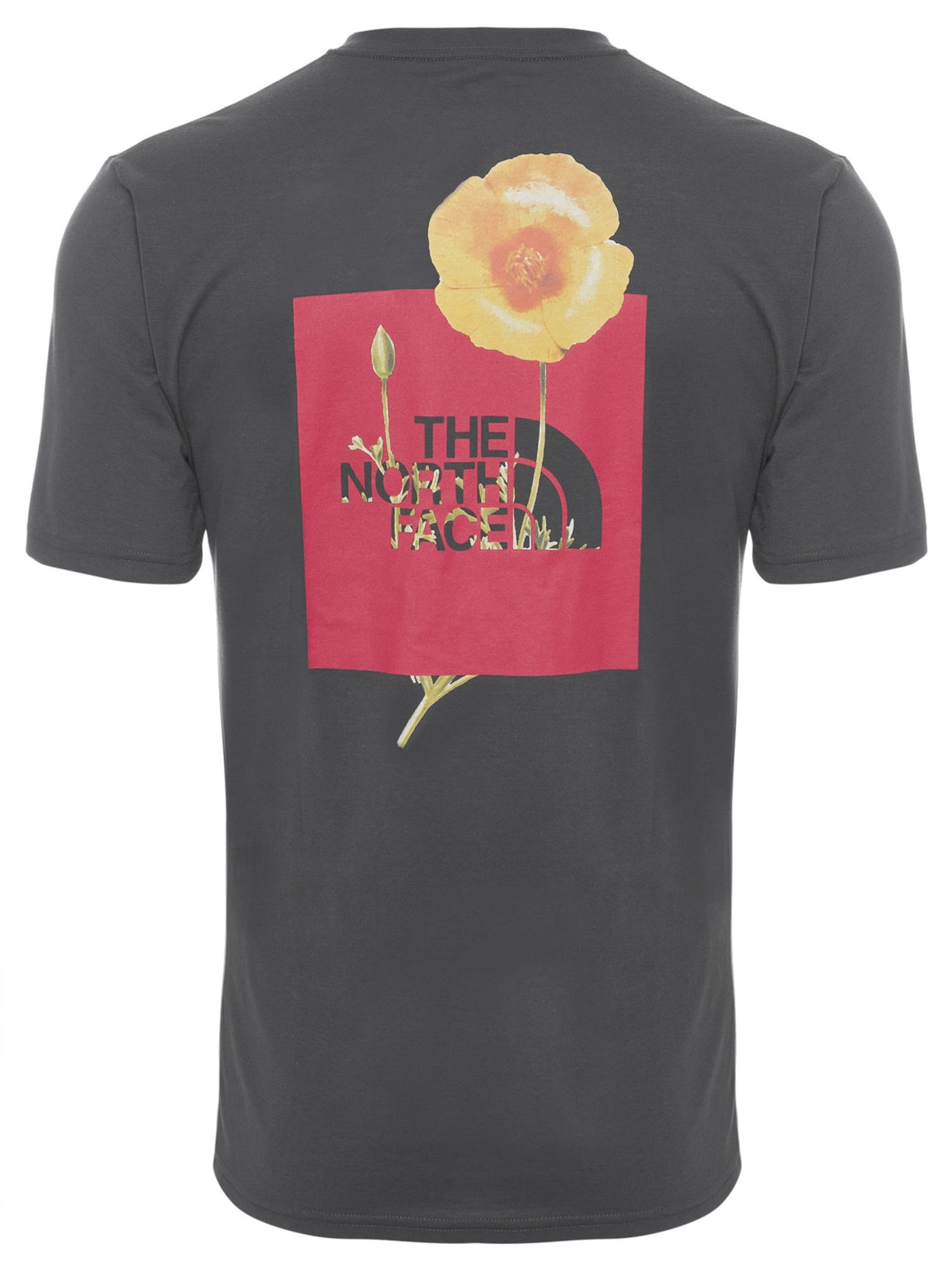 Camiseta Masculina Bottle Source Red Box Preto The North Face