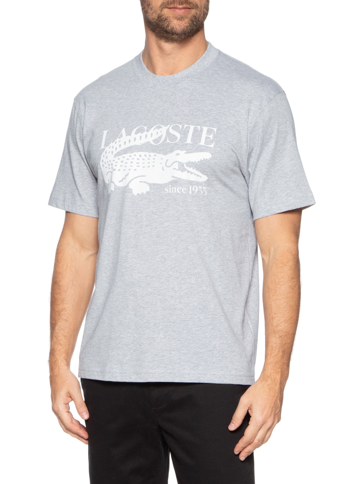 Camiseta Masculina Classic Fit Estampa Crocodilo Cinza Lacoste