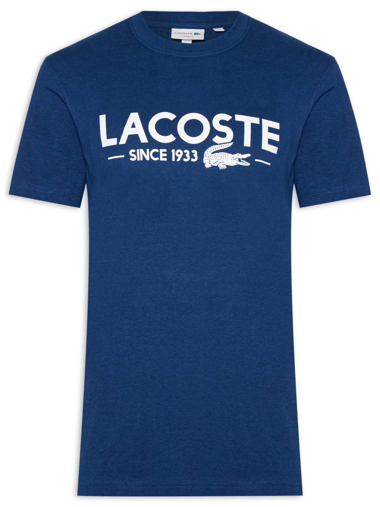 Camiseta Masculina Classic Fit Foundation Date Em Algodão - Azul