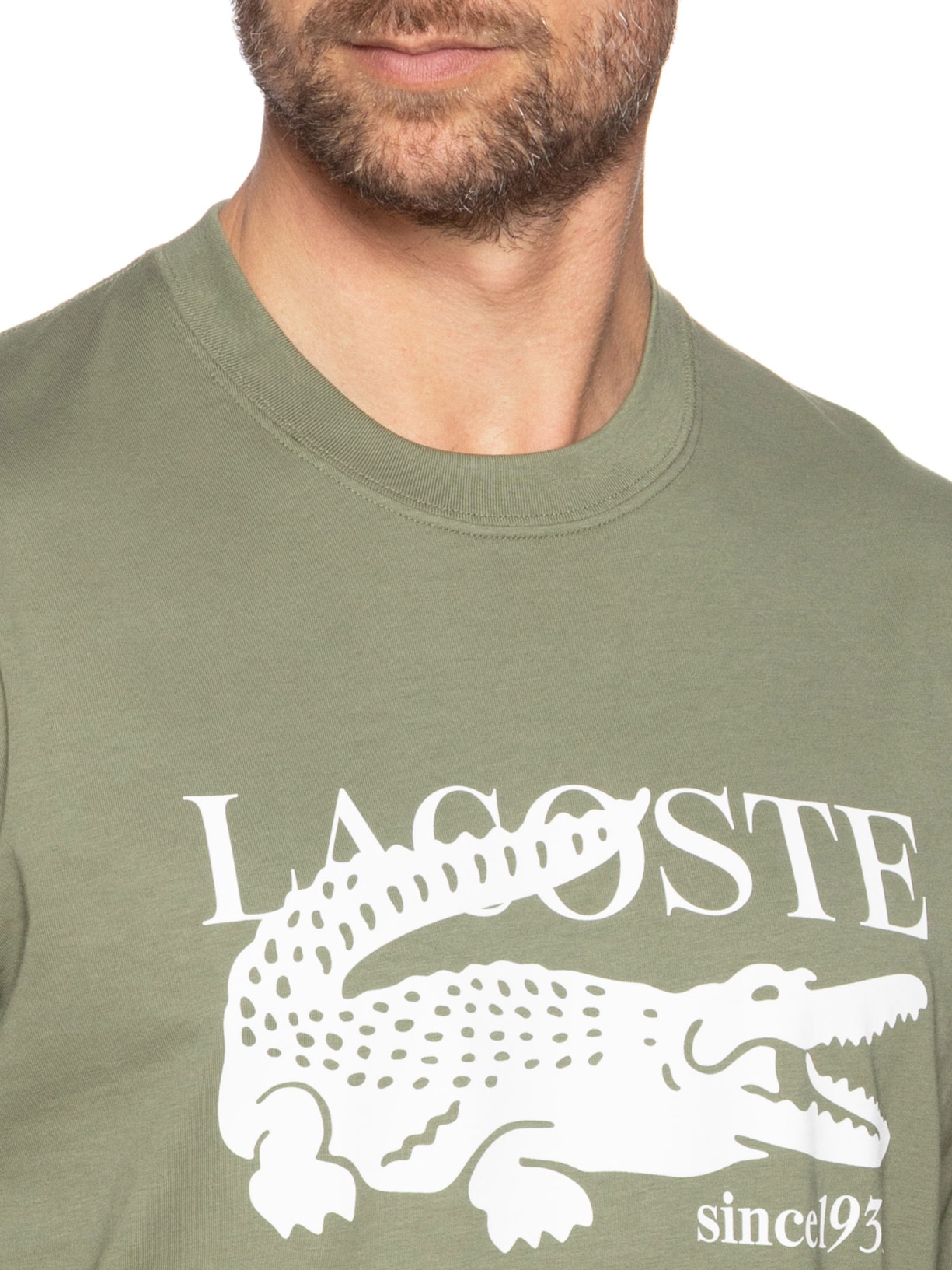 Camiseta Masculina Classic Fit Midweight Verde Lacoste