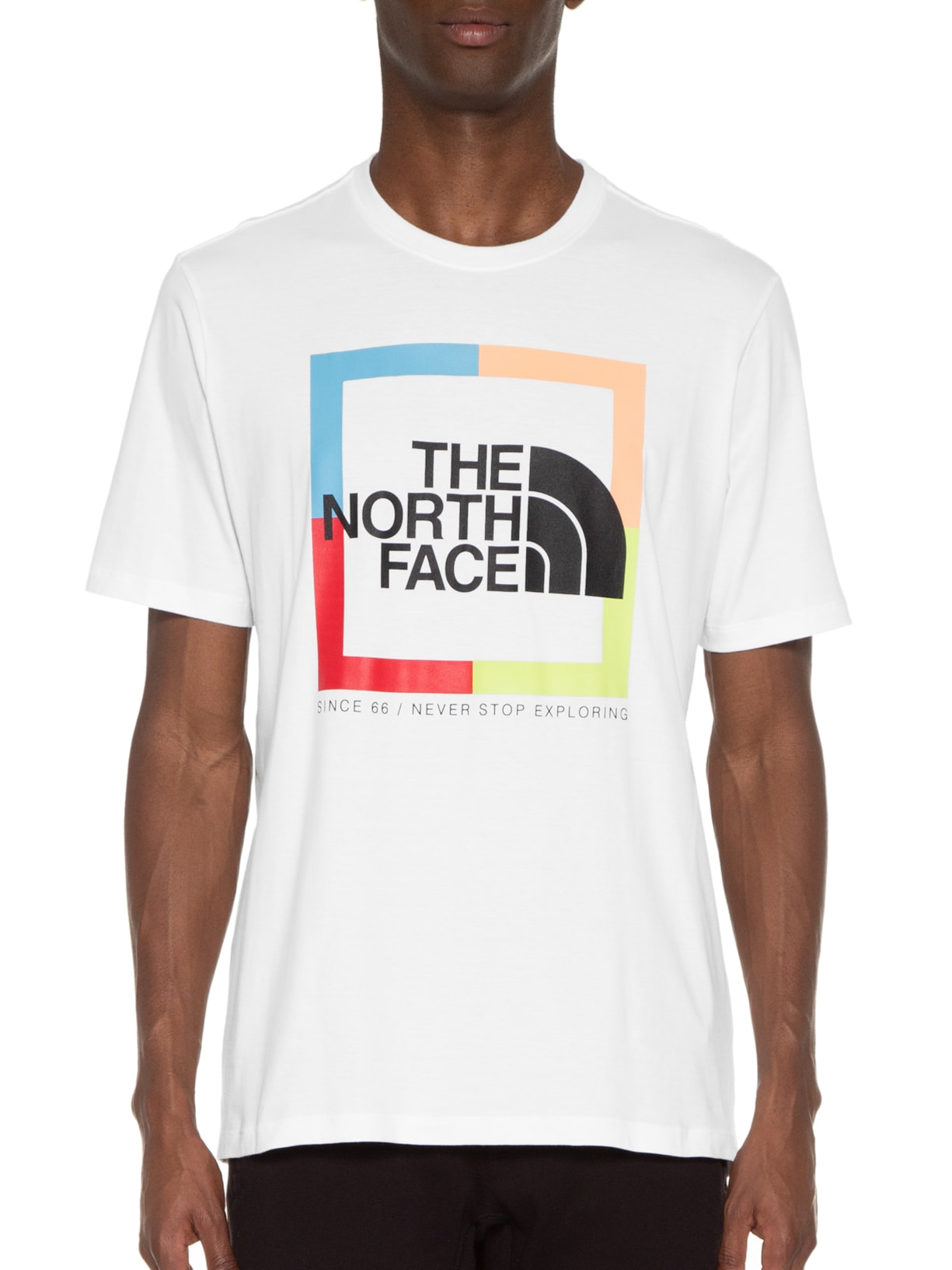 Camiseta Masculina Coordinates Branco The North Face