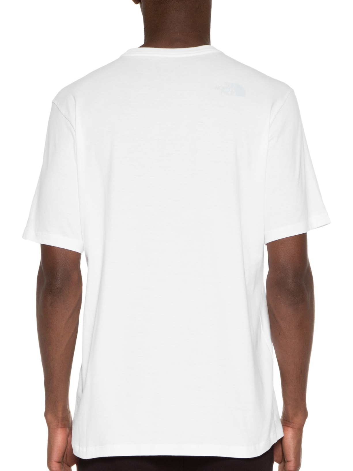 Camiseta Masculina Coordinates Branco The North Face