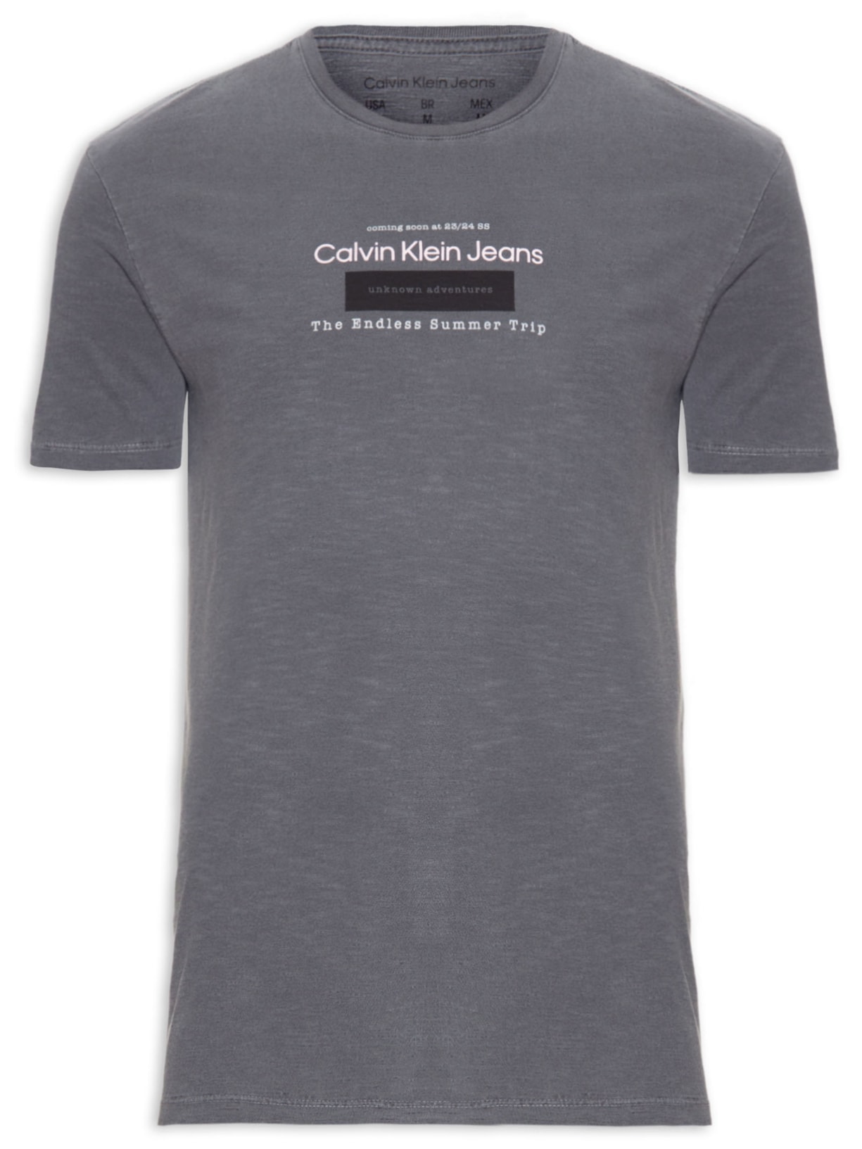 Camiseta Masculina Endless Summer - Cinza