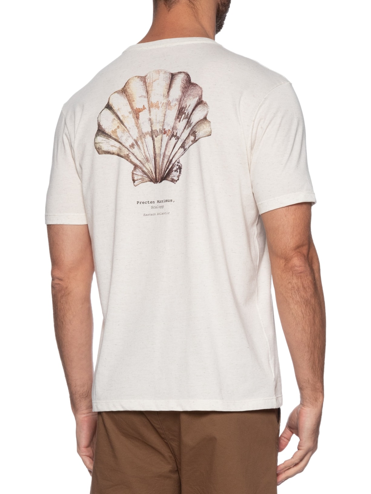 Camiseta Masculina Estampa Concha Off White Zapalla