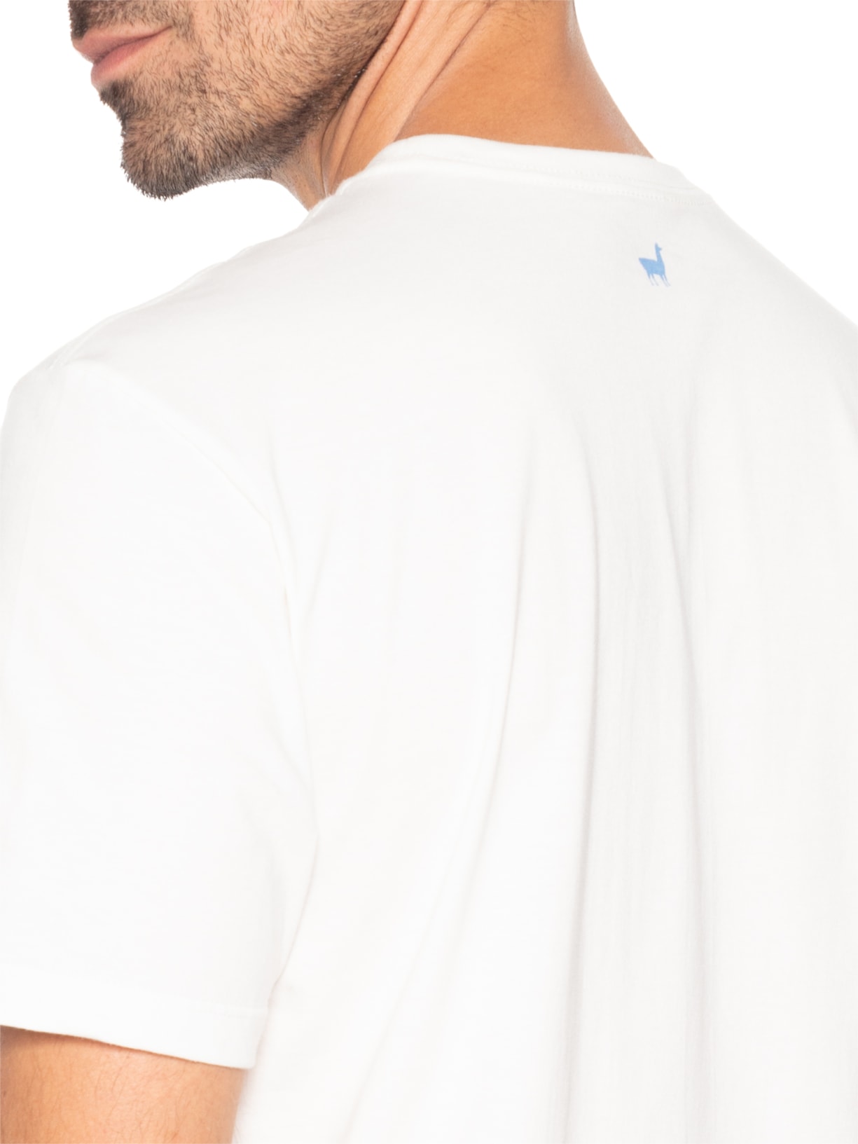 Camiseta Masculina Estampa Sardinhas Branco Zapalla