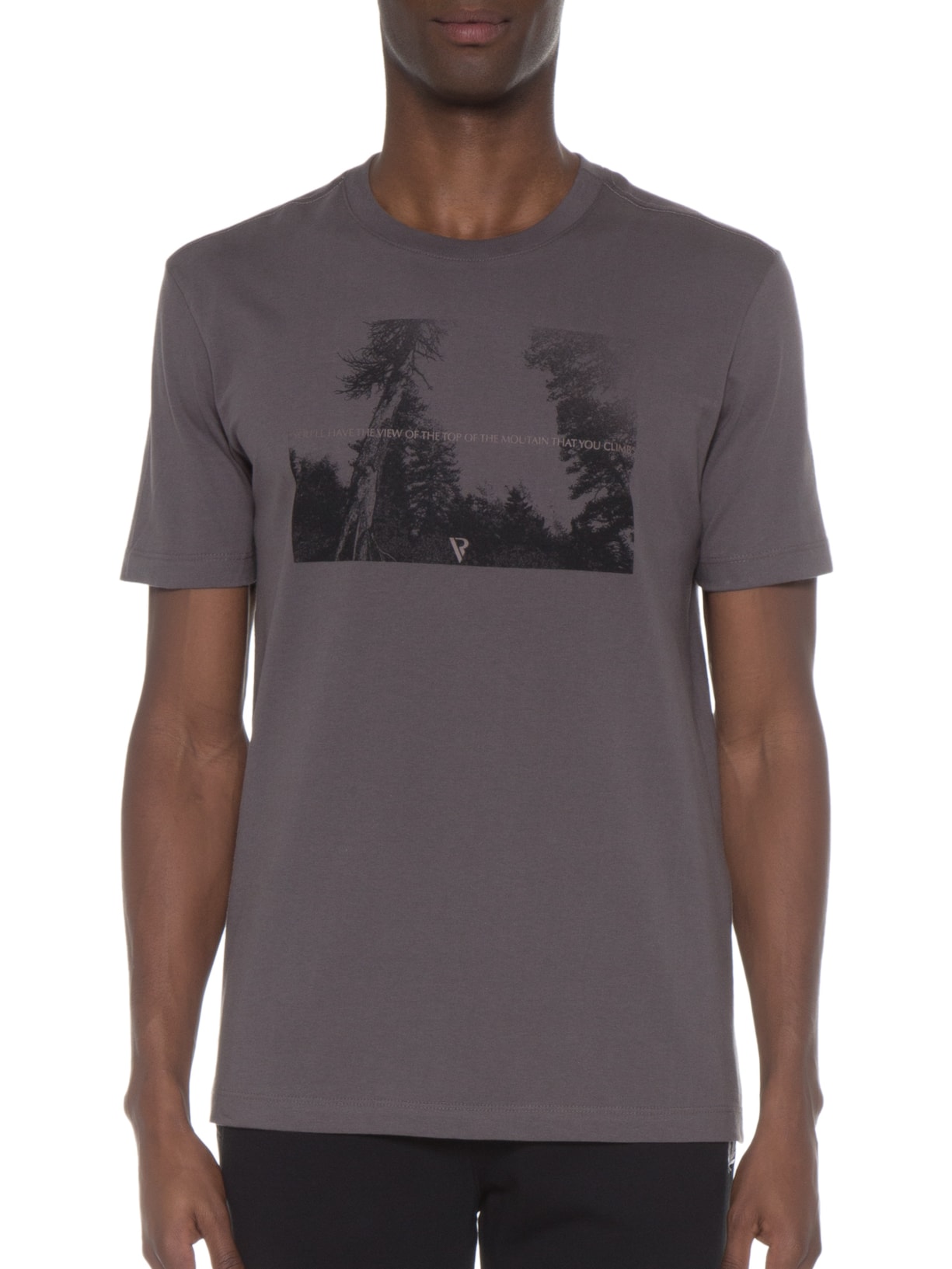 Camiseta Masculina Estampa View Cinza Vr