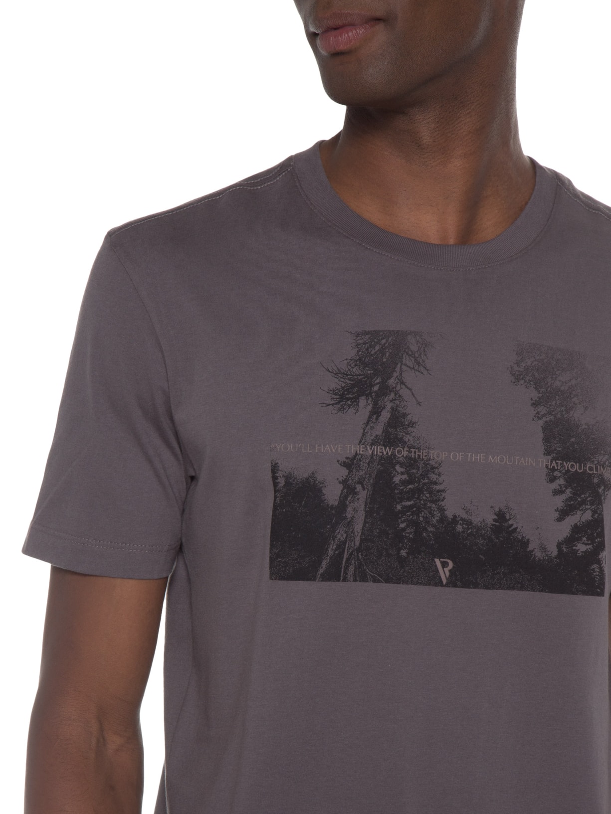 Camiseta Masculina Estampa View Cinza Vr