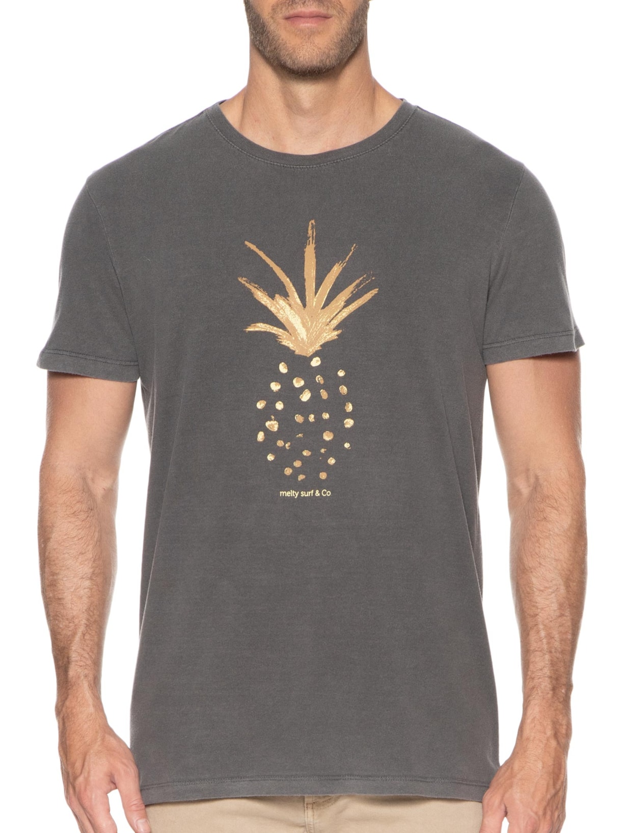 Camiseta Masculina Estampada Cinza Melty Rj