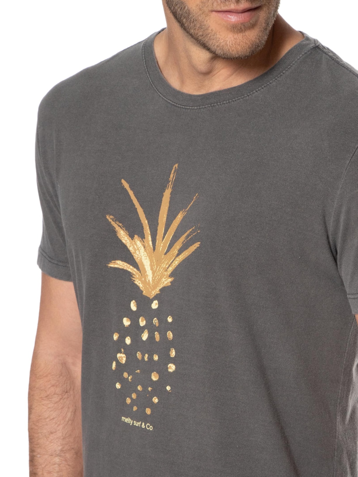 Camiseta Masculina Estampada Cinza Melty Rj