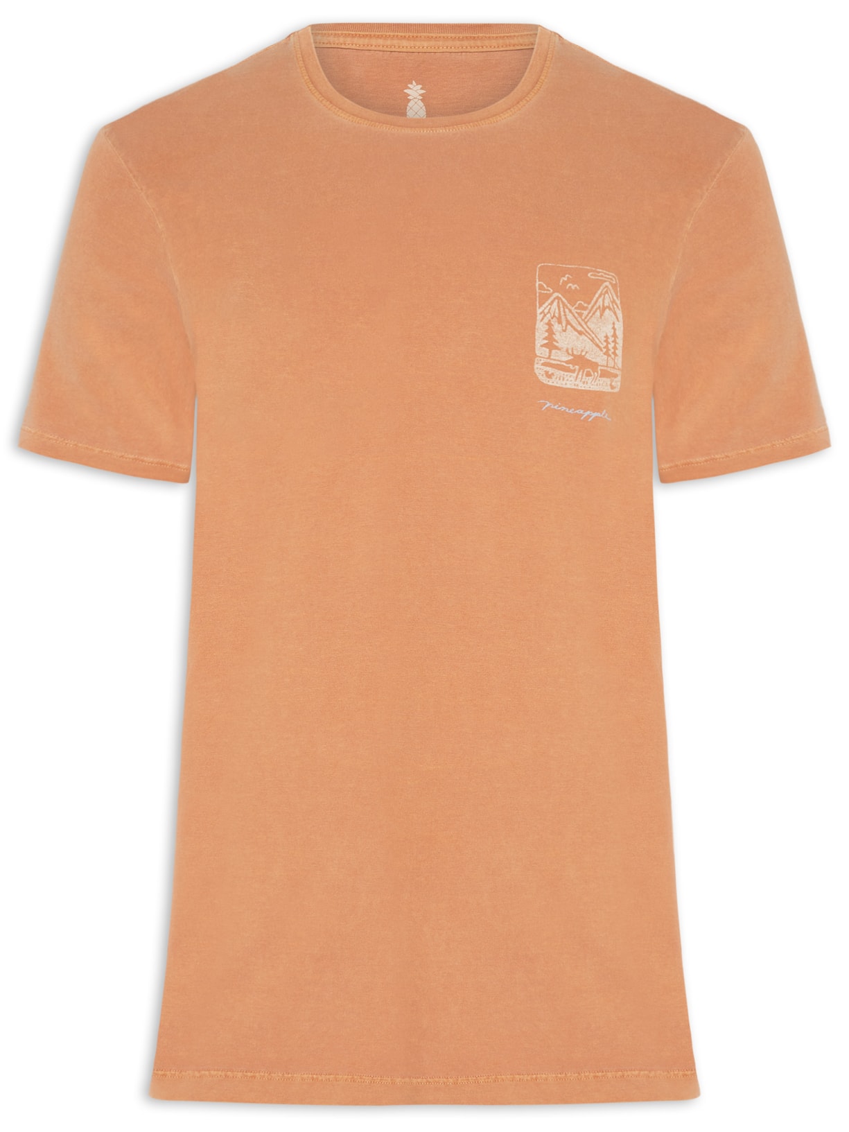 Camiseta Masculina Estampada Mountains - Laranja