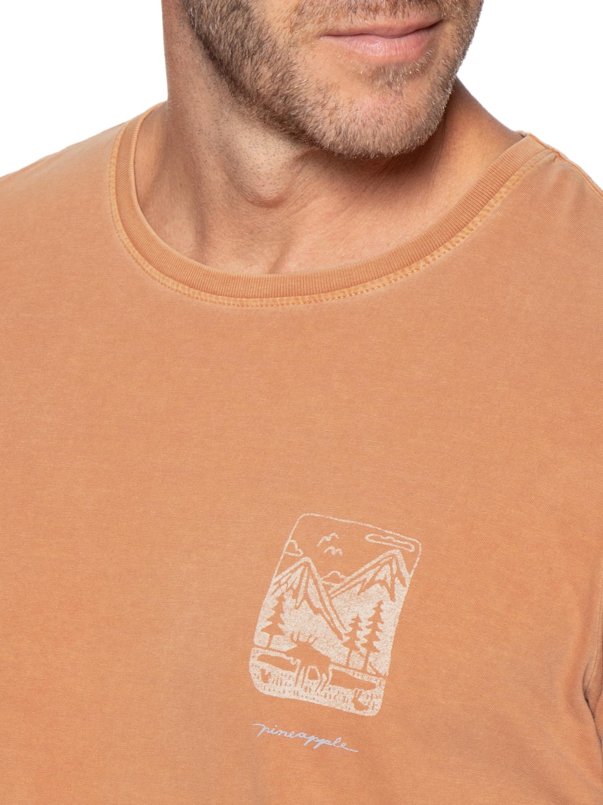 Camiseta Masculina Estampada Mountains Laranja Pineapple