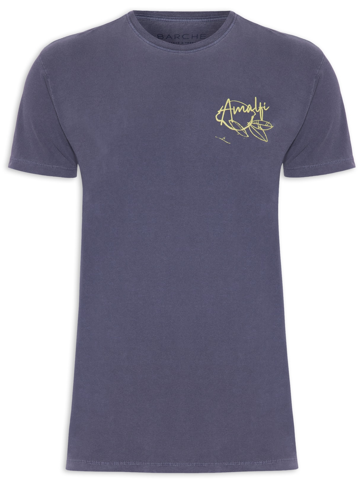 Camiseta Masculina Estonada Estampada Limão Raul Gastão - Azul