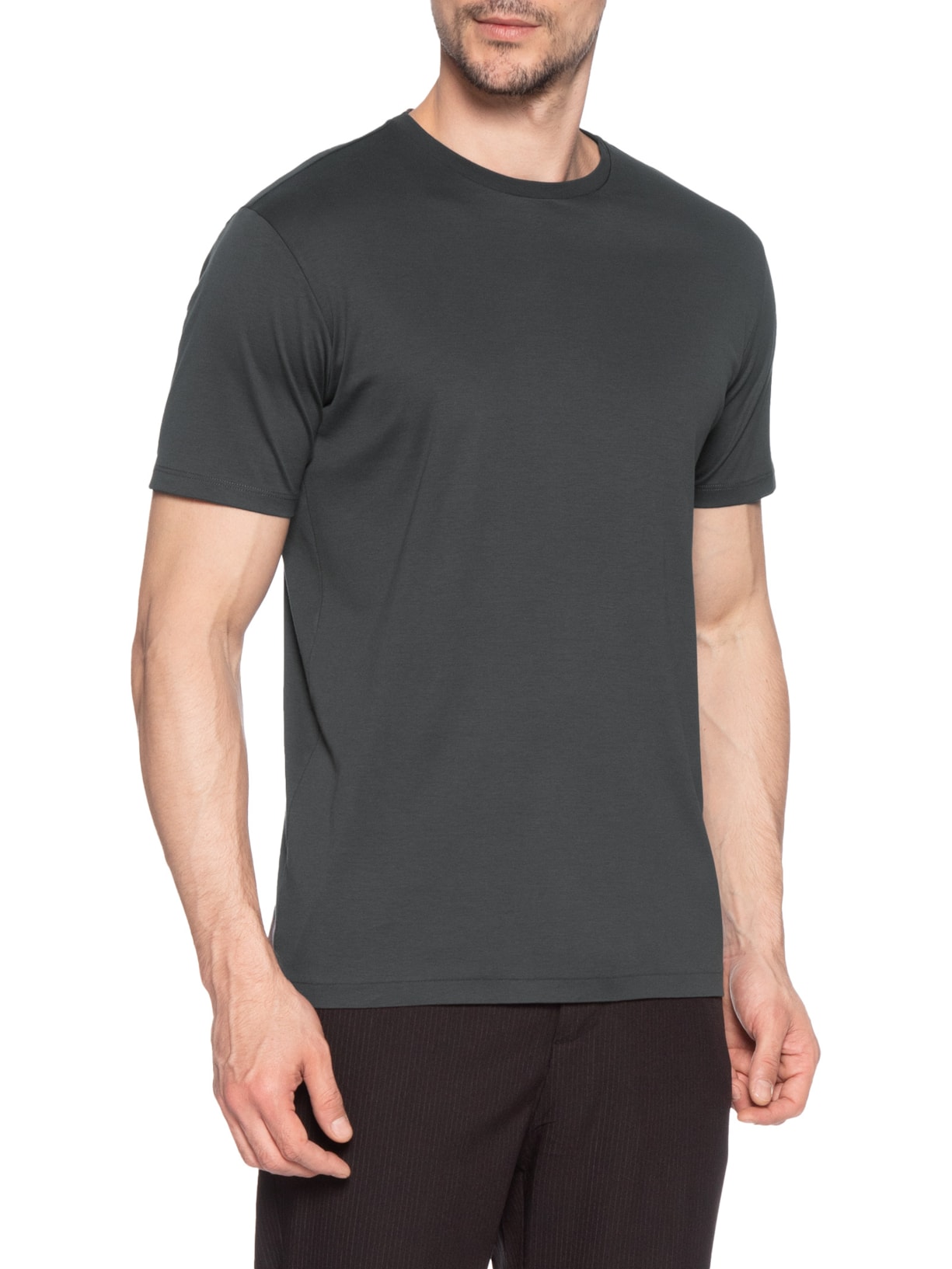 Camiseta Masculina Fio 140 Algodão Pima Cinza Ricardo Almeida