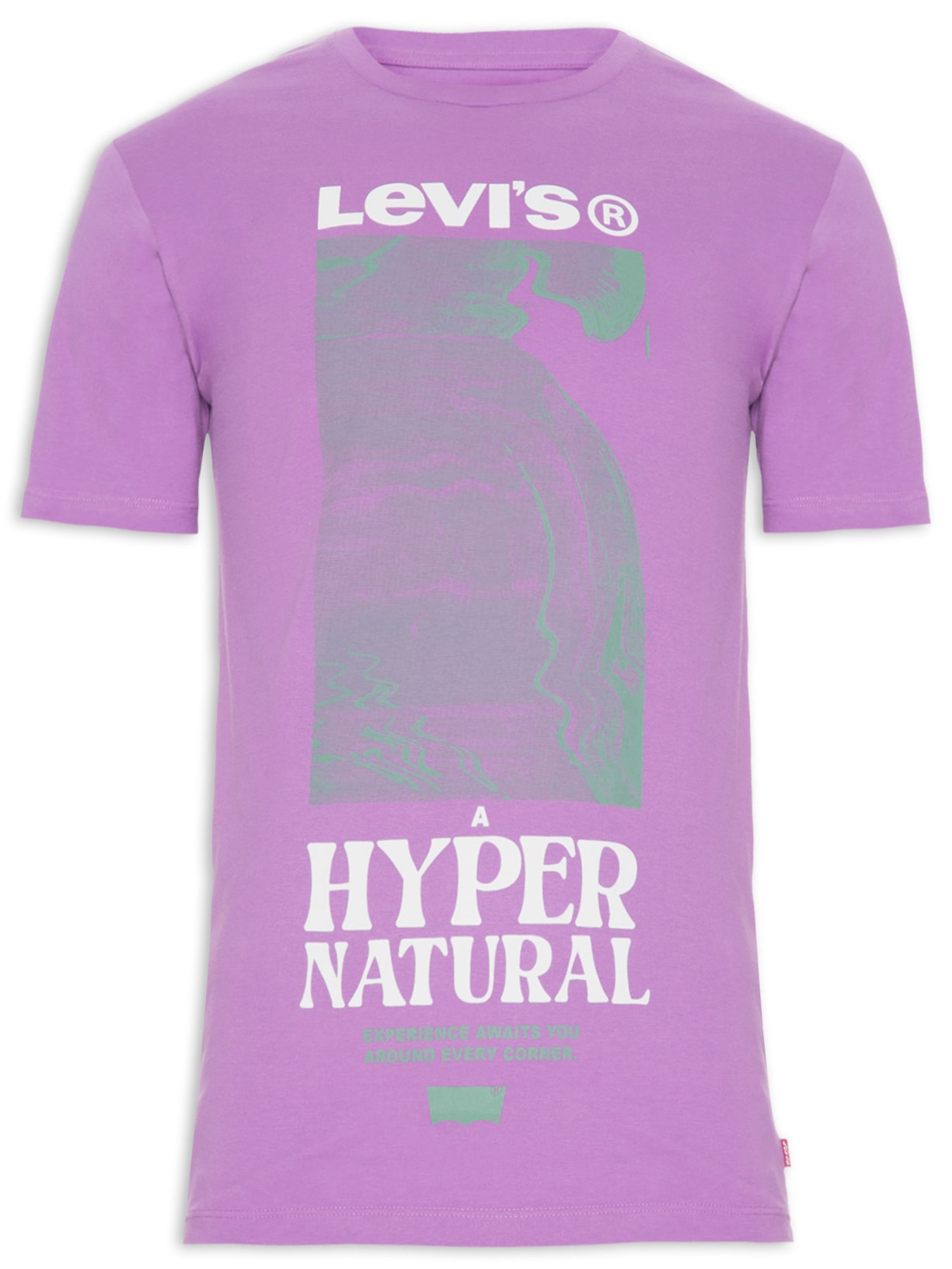 Camiseta Masculina Graphic Crewneck Tee - Roxo