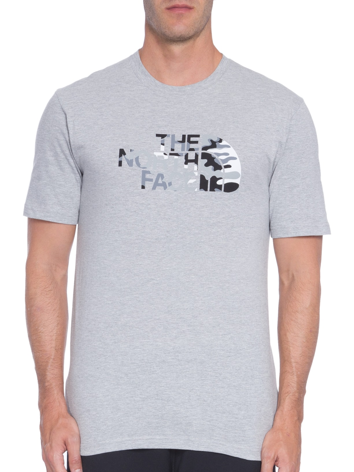 Camiseta Masculina Half Dome Tee Cinza The North Face