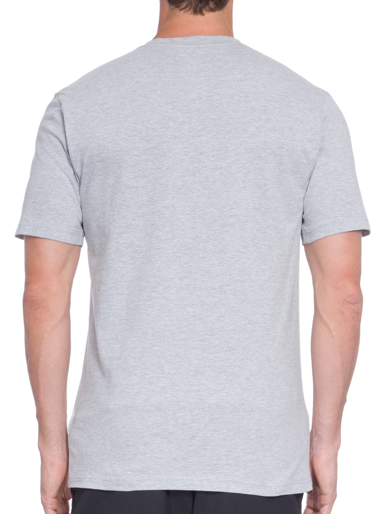 Camiseta Masculina Half Dome Tee Cinza The North Face