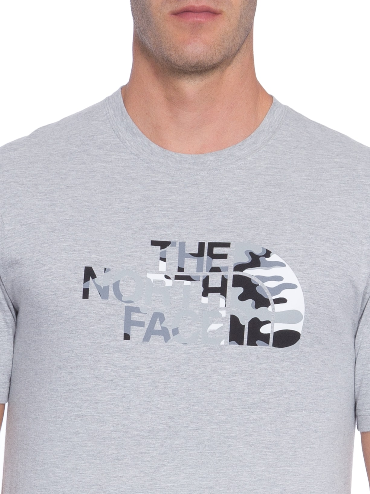 Camiseta Masculina Half Dome Tee Cinza The North Face