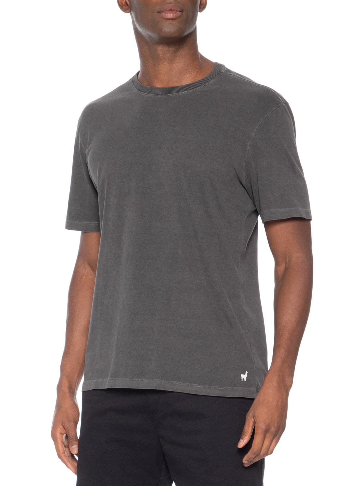 Camiseta Masculina Kitesurf Cinza Zapalla