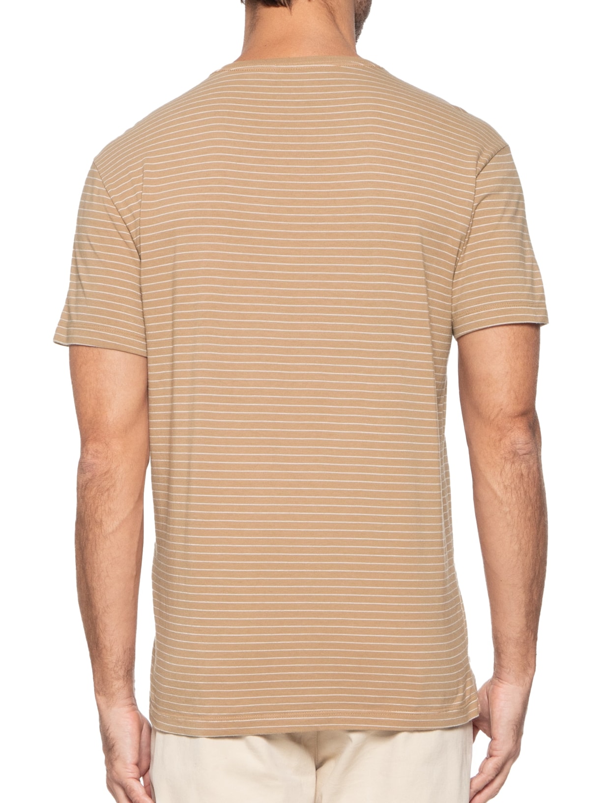 Camiseta Masculina Listra Artico Marrom Foxton