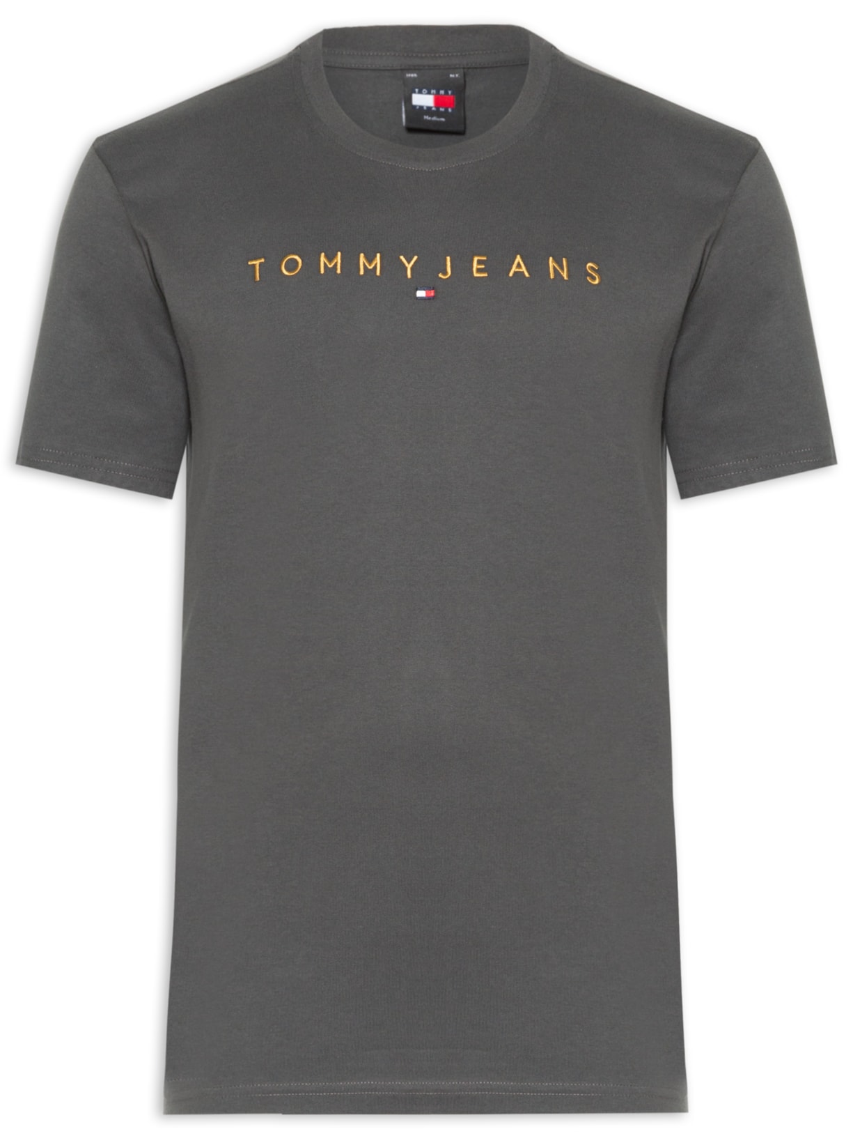 Camiseta Masculina Logo Linear Gold Regular Fit em Algodão - Cinza