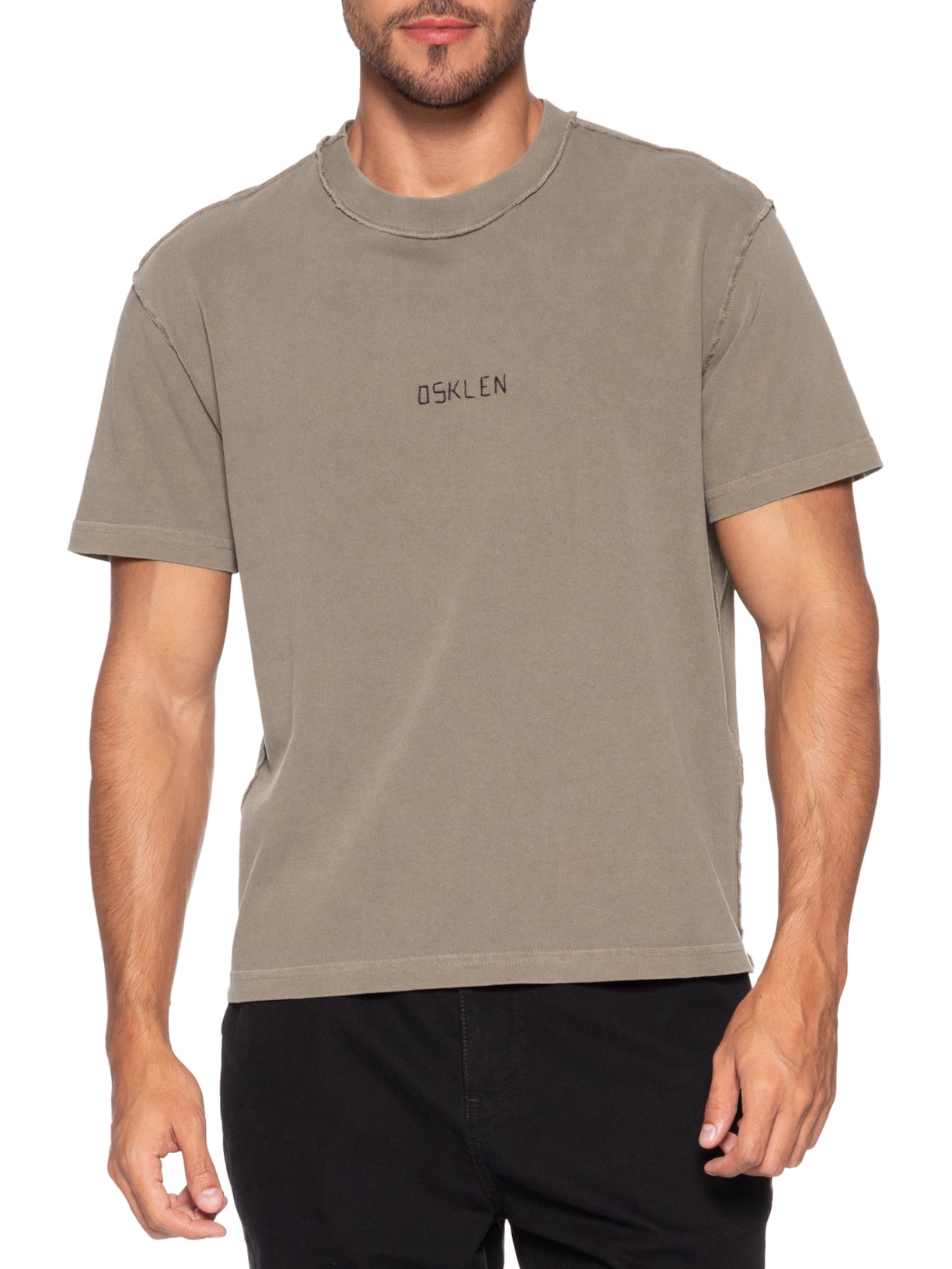 Camiseta Masculina Manga Curta Avesso Bordado Marrom Osklen