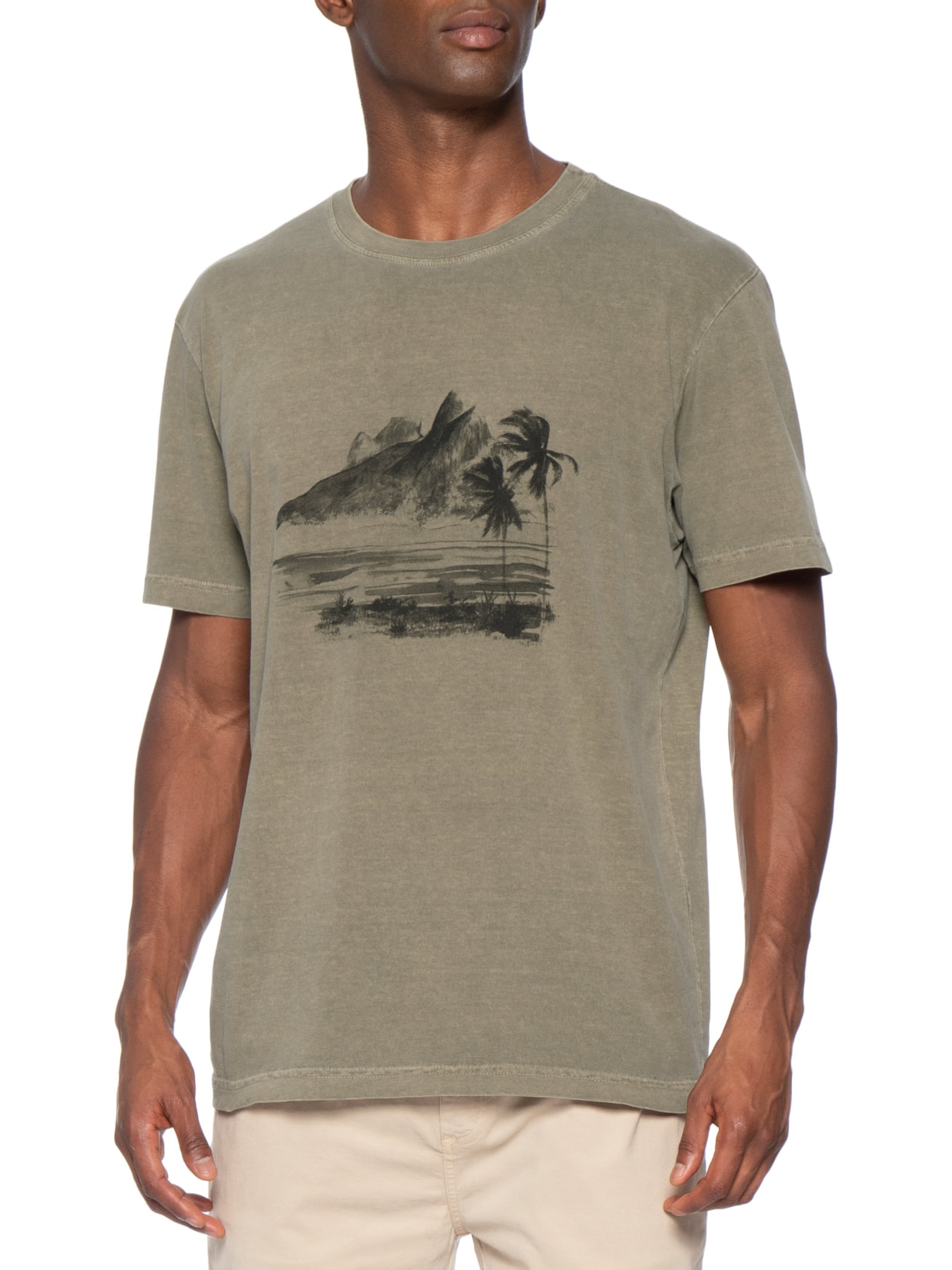 Camiseta Masculina Manga Curta Gola Careca 2 Irmãos Marrom Osklen