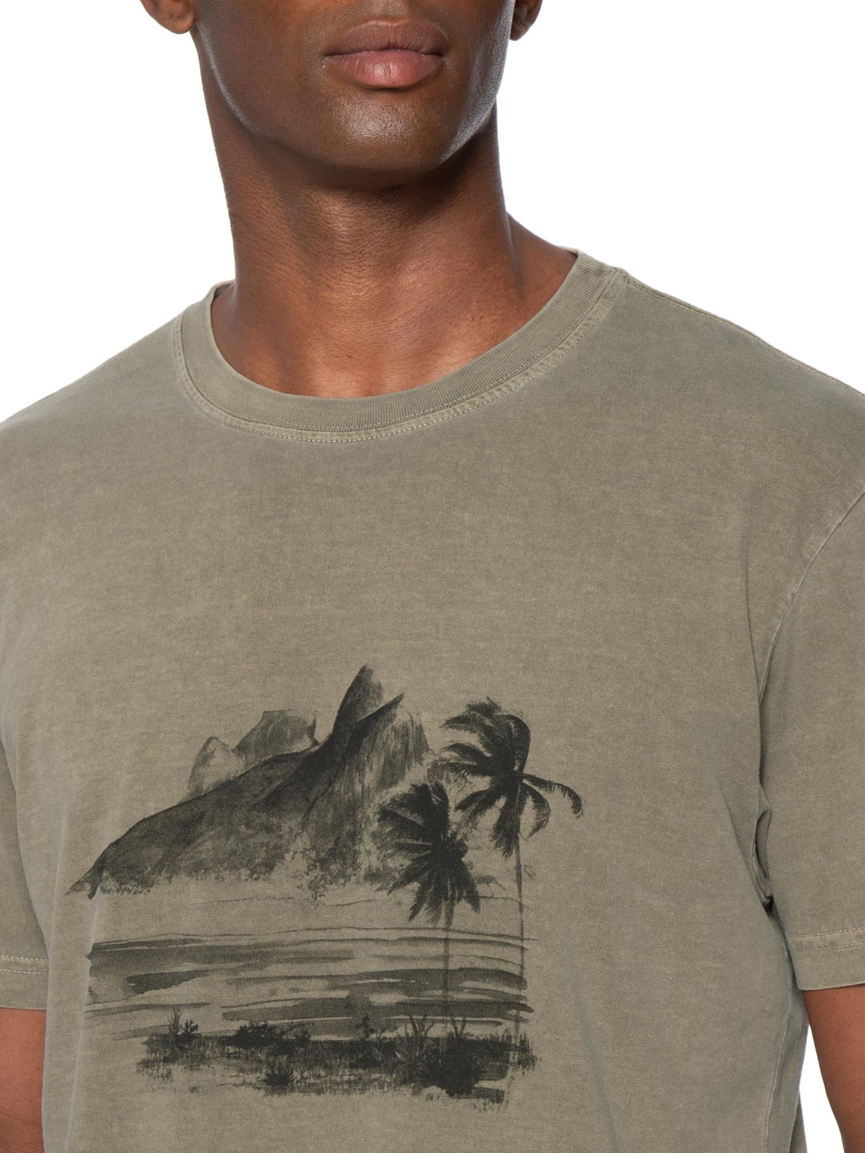 Camiseta Masculina Manga Curta Gola Careca 2 Irmãos Marrom Osklen