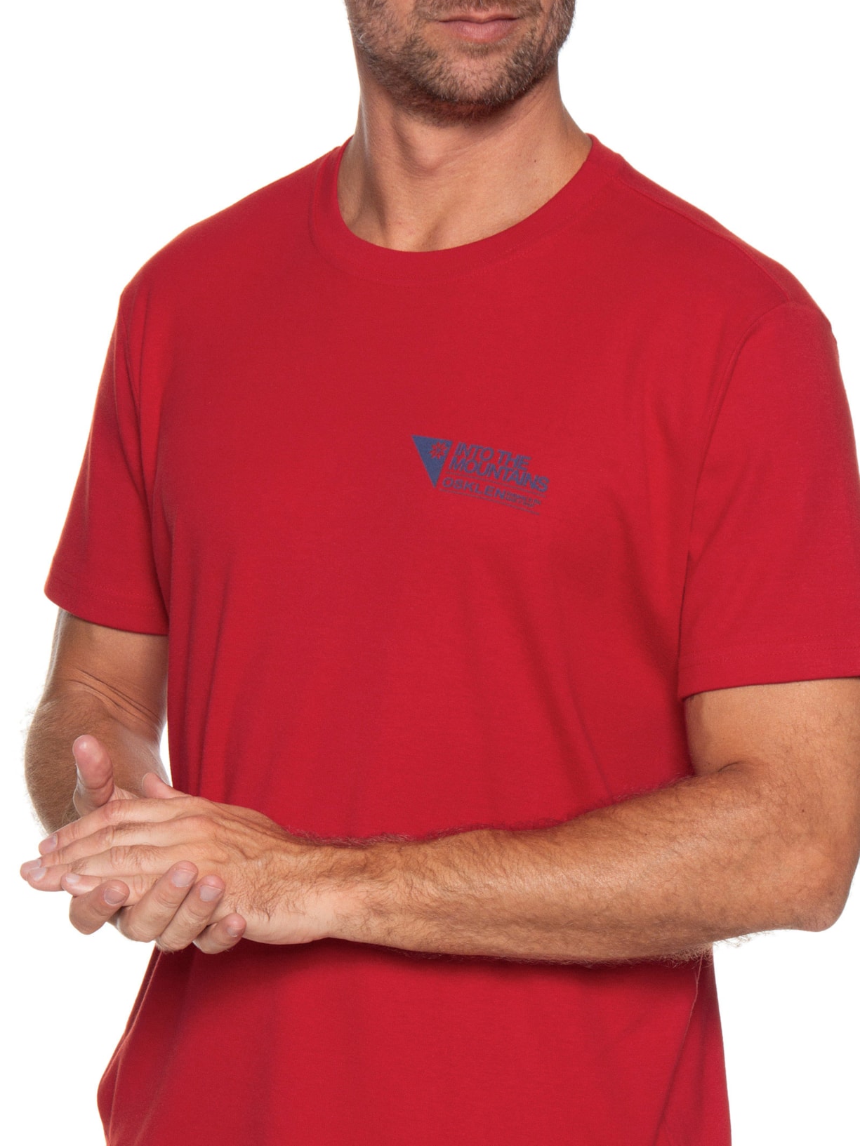 Camiseta Masculina Manga Curta Gola Careca Carimbo Itm Vermelho Osklen