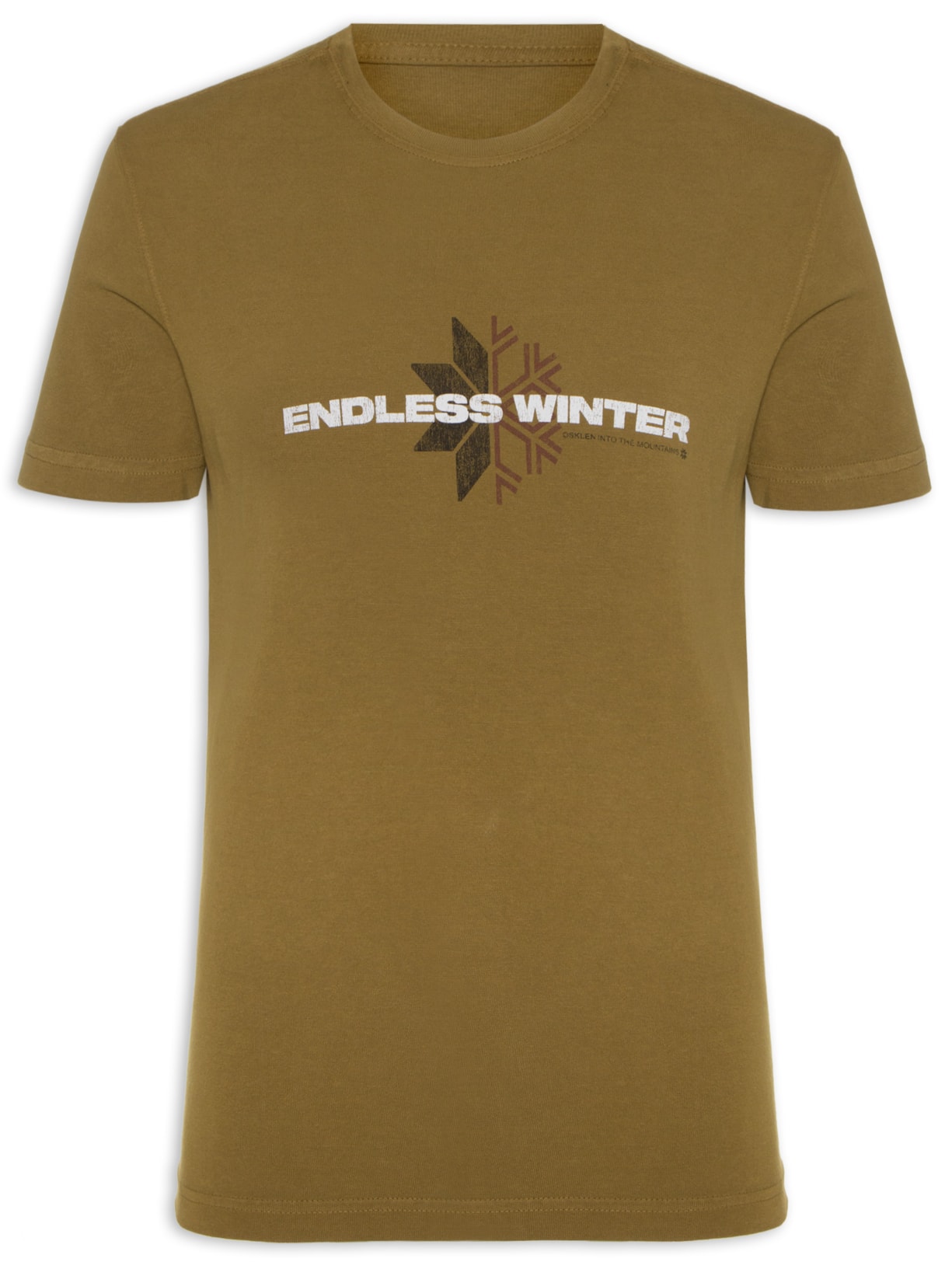 Camiseta Masculina Manga Curta Gola Careca Double Endless Winter - Marrom