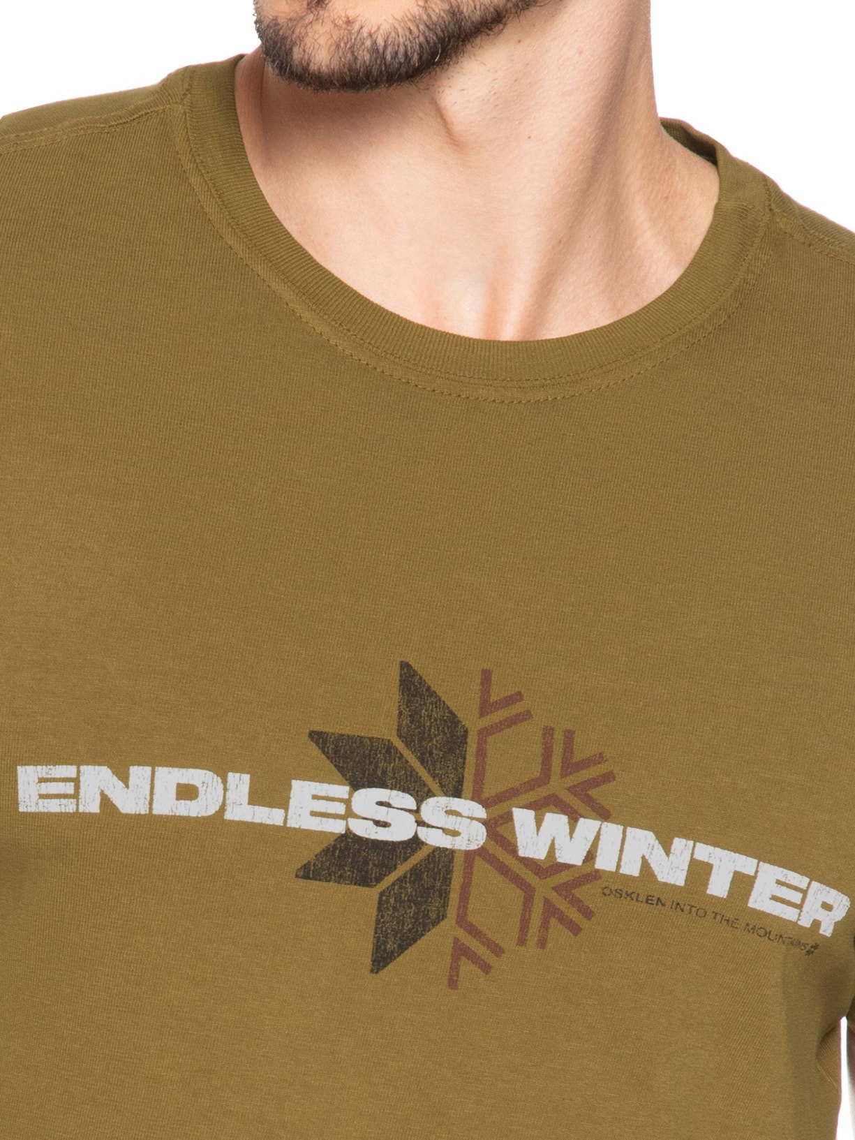 Camiseta Masculina Manga Curta Gola Careca Double Endless Winter Marrom Osklen
