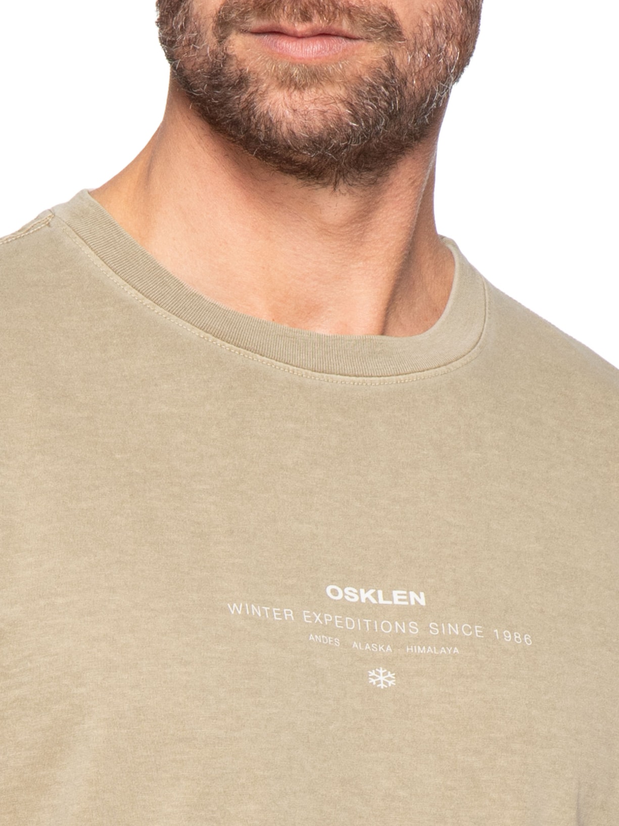 Camiseta Masculina Manga Curta Gola Careca Slim Stone Winter EXP Bege Osklen