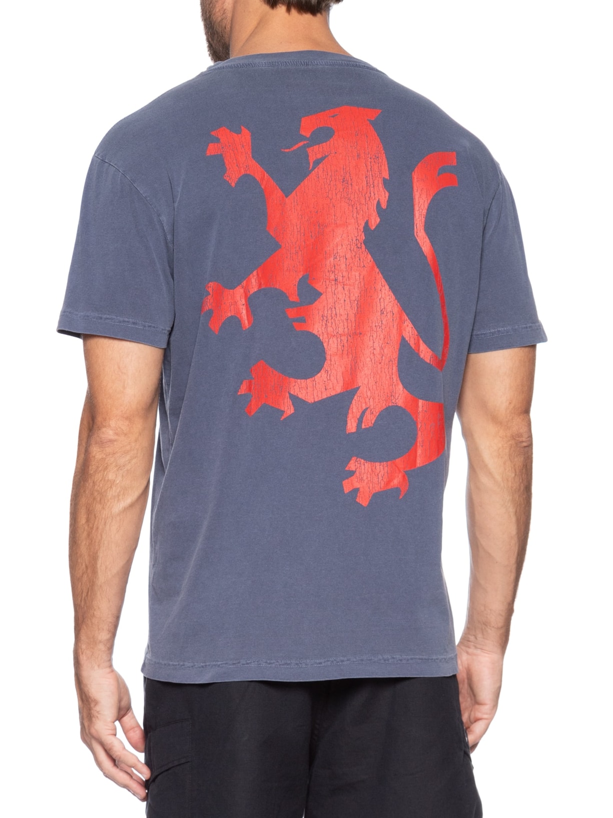 Camiseta Masculina Manga Curta Gola Careca Stone Leao Azul Osklen