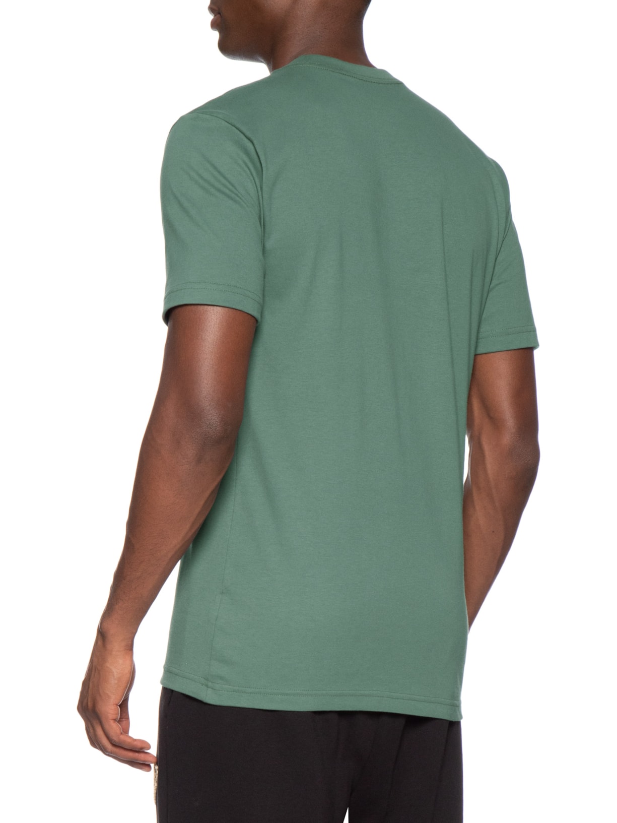Camiseta Masculina Mc Evolution Tee Verde The North Face