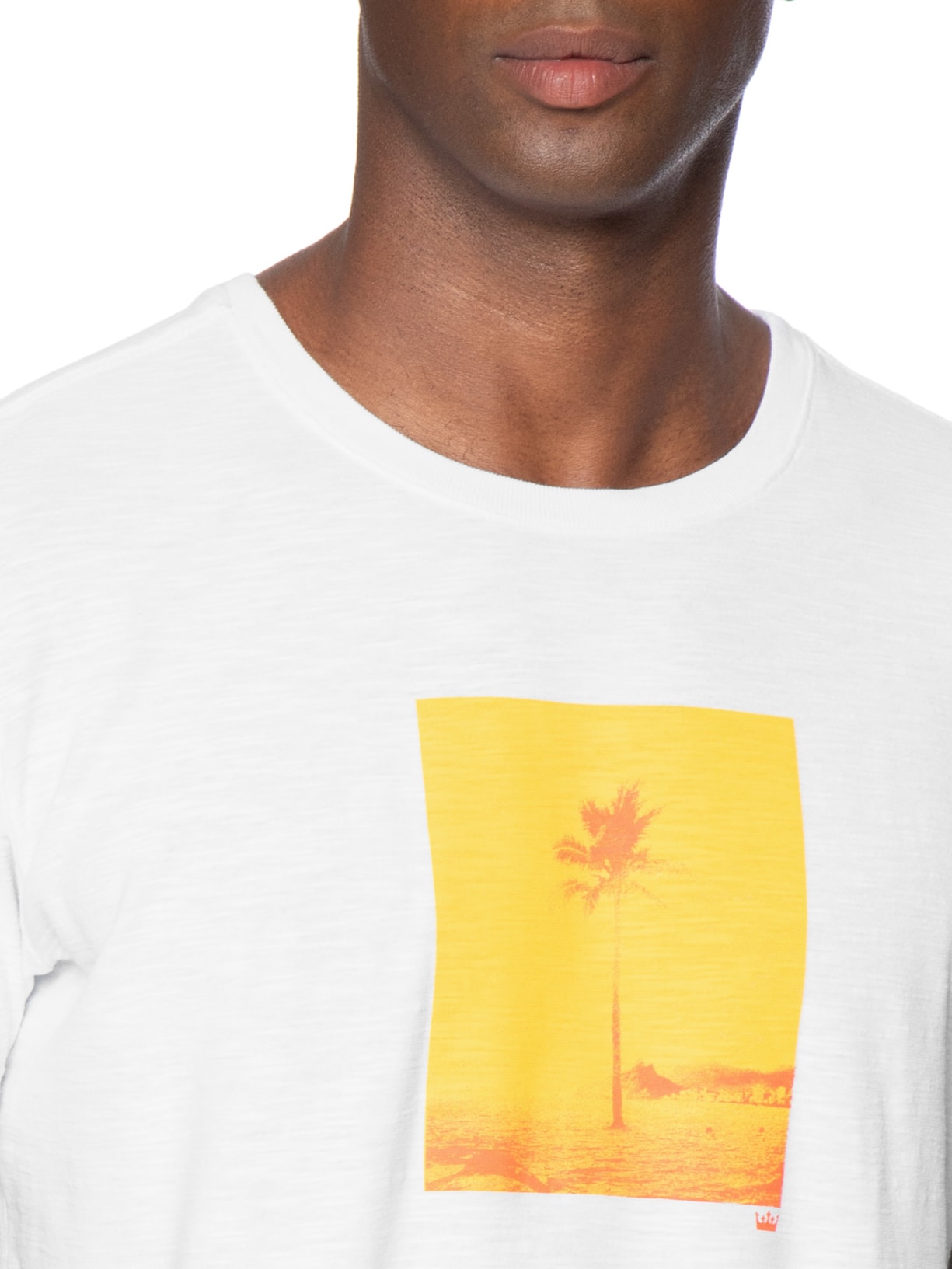 Camiseta Masculina Mc Rough Rio Postcard Branco Osklen