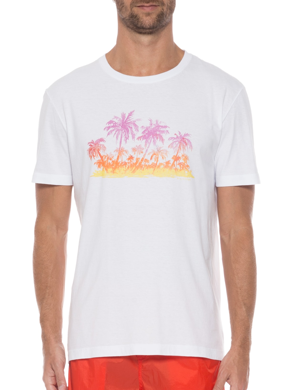 Camiseta Masculina Meia Malha Aquarela Branco Richards