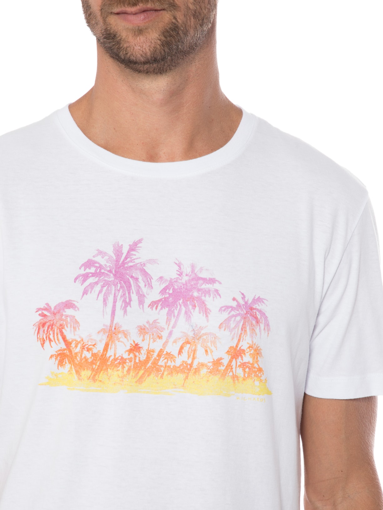 Camiseta Masculina Meia Malha Aquarela Branco Richards