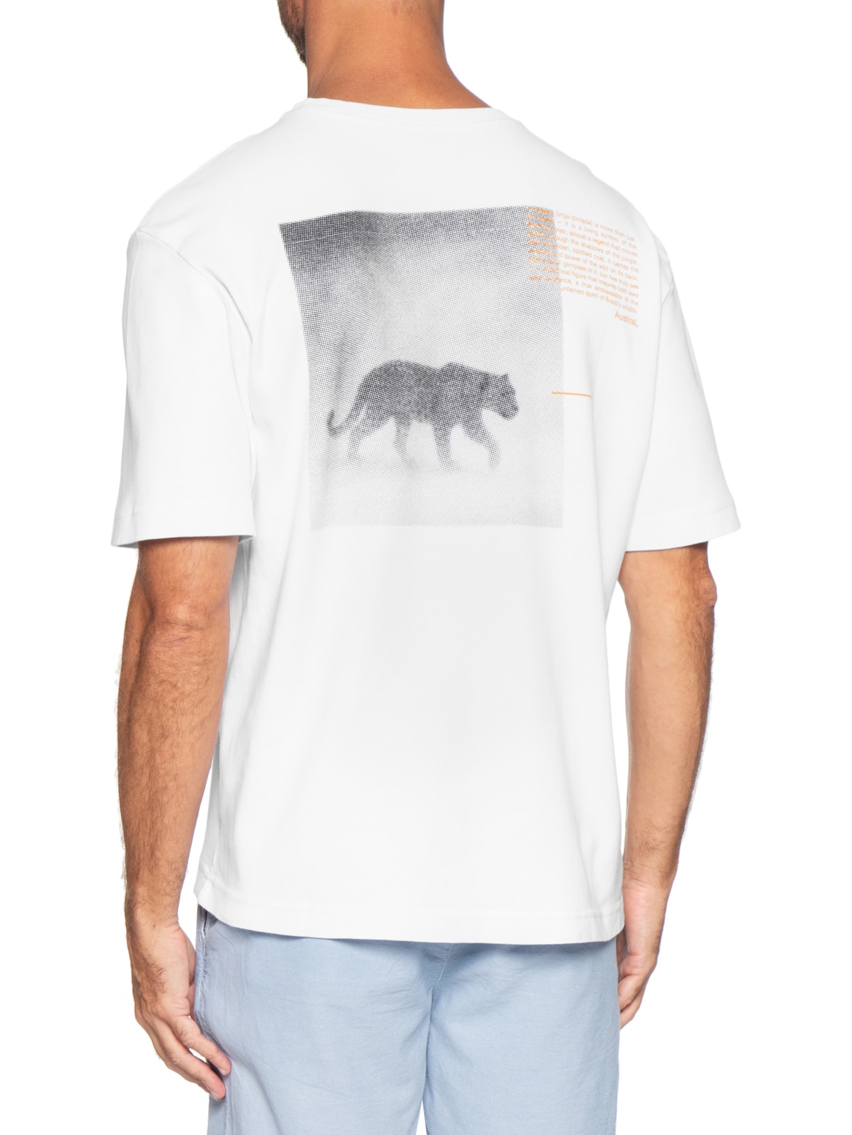 Camiseta Masculina Oversized Estampa Legend II Branco Austral