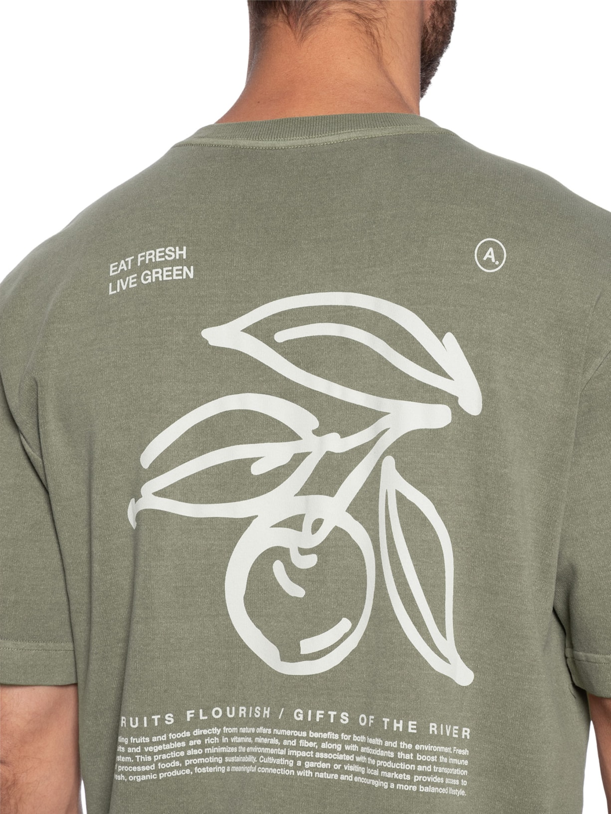 Camiseta Masculina Oversized Fresh Verde Austral