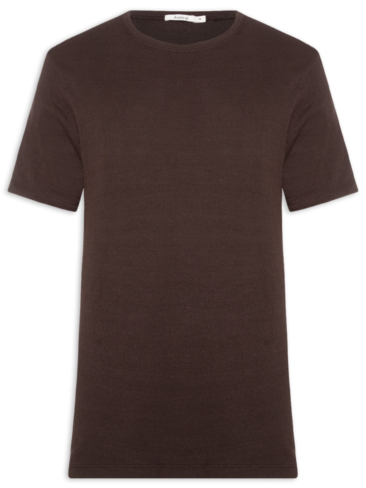 Camiseta Masculina Oversized Fuji - Marrom