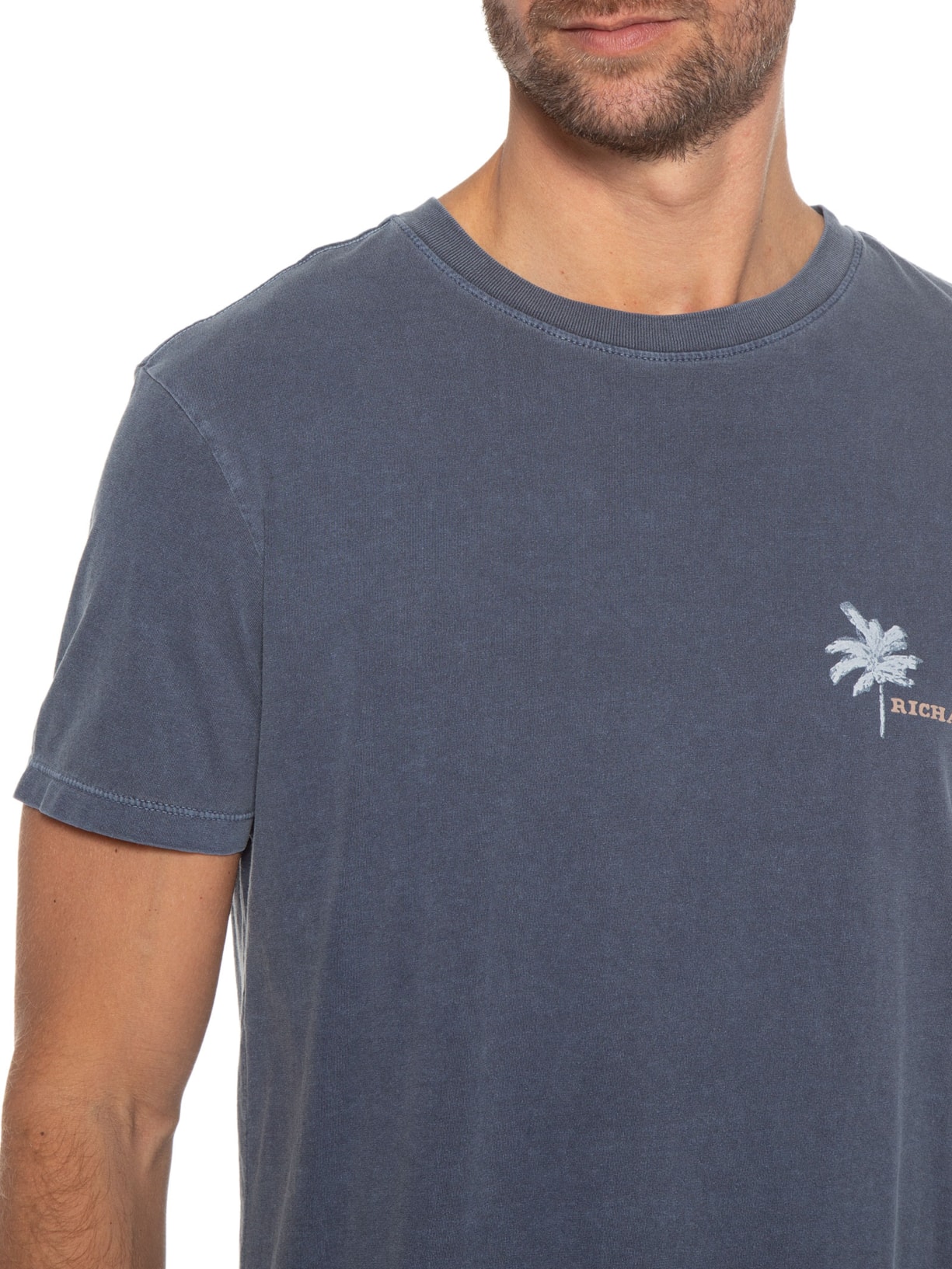 Camiseta Masculina Palm Trees Azul Richards