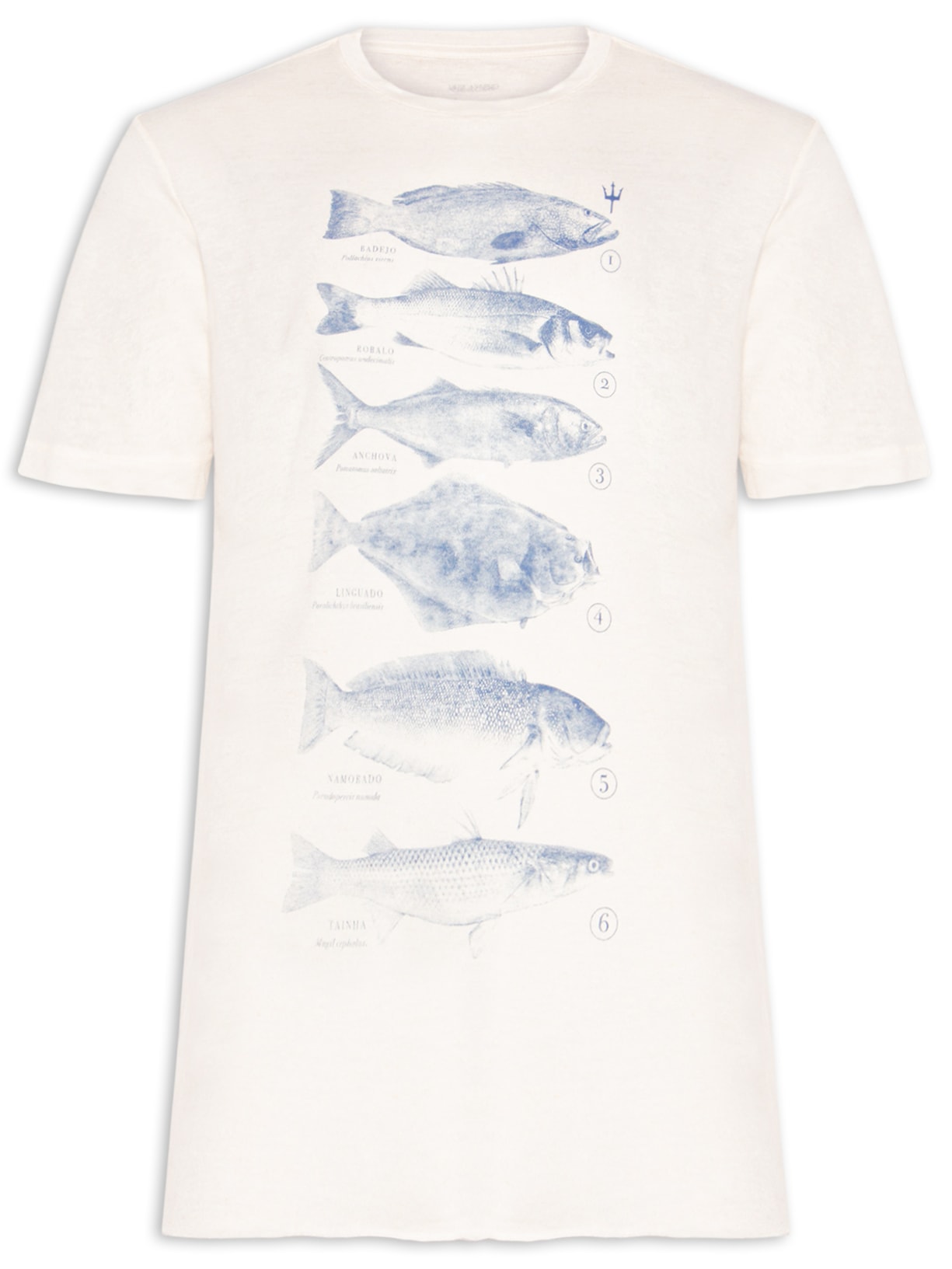 Camiseta Masculina Peixes Species Caiçara - Branco