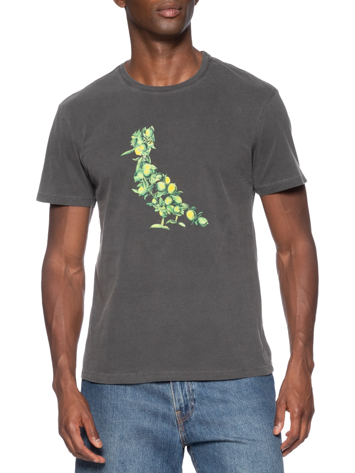 Camiseta Masculina Pica Pau Citric Summer Cinza Reserva