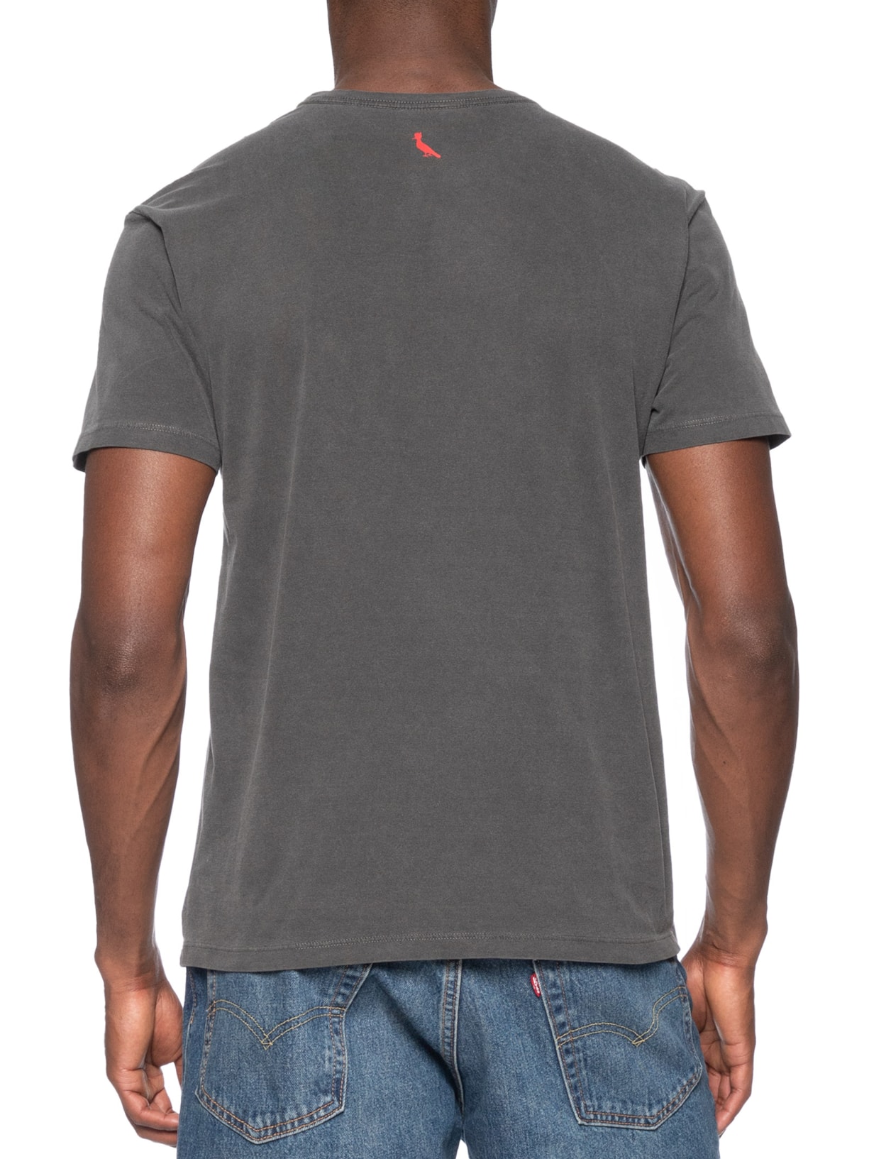 Camiseta Masculina Pica Pau Citric Summer Cinza Reserva