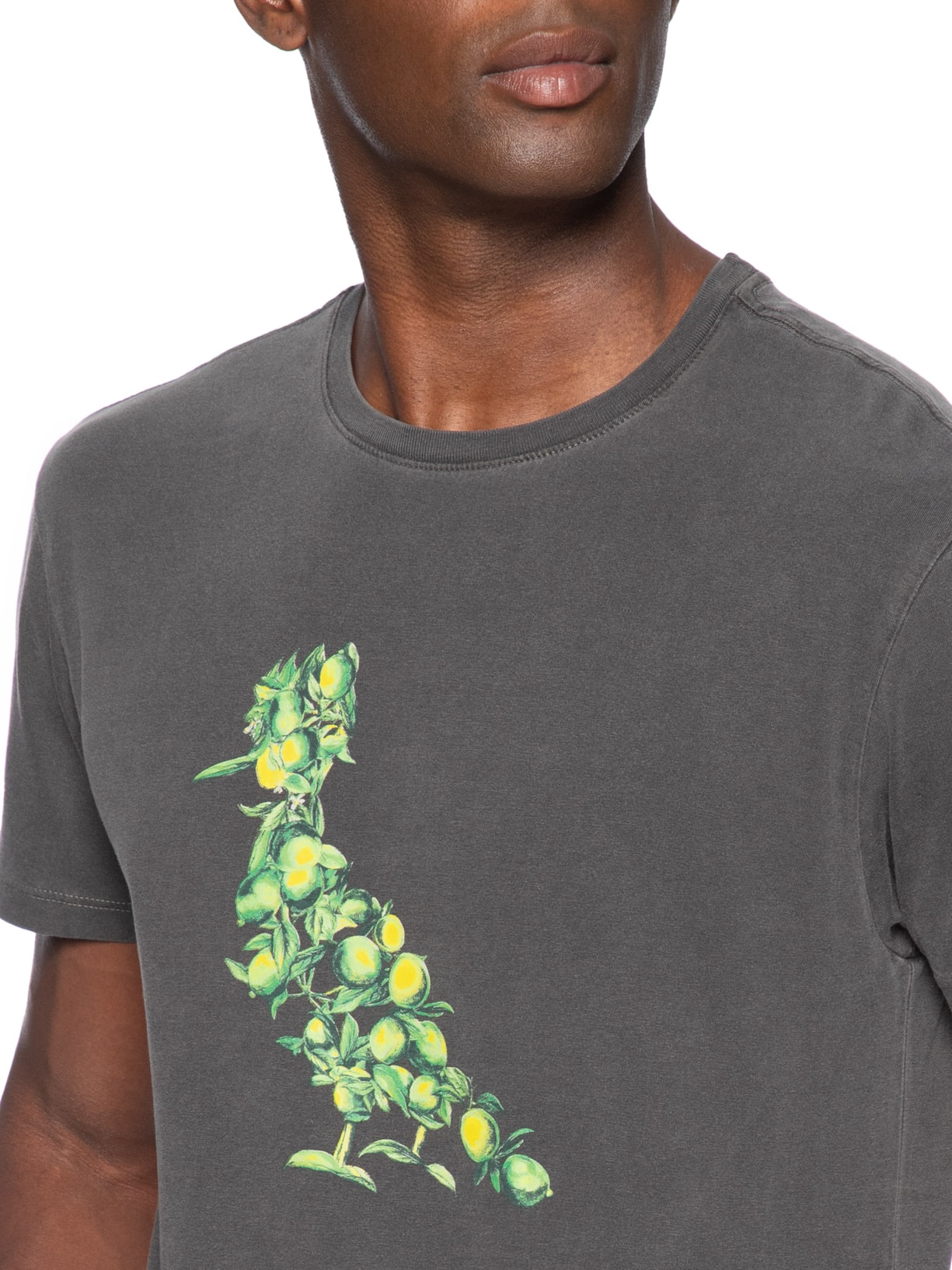 Camiseta Masculina Pica Pau Citric Summer Cinza Reserva