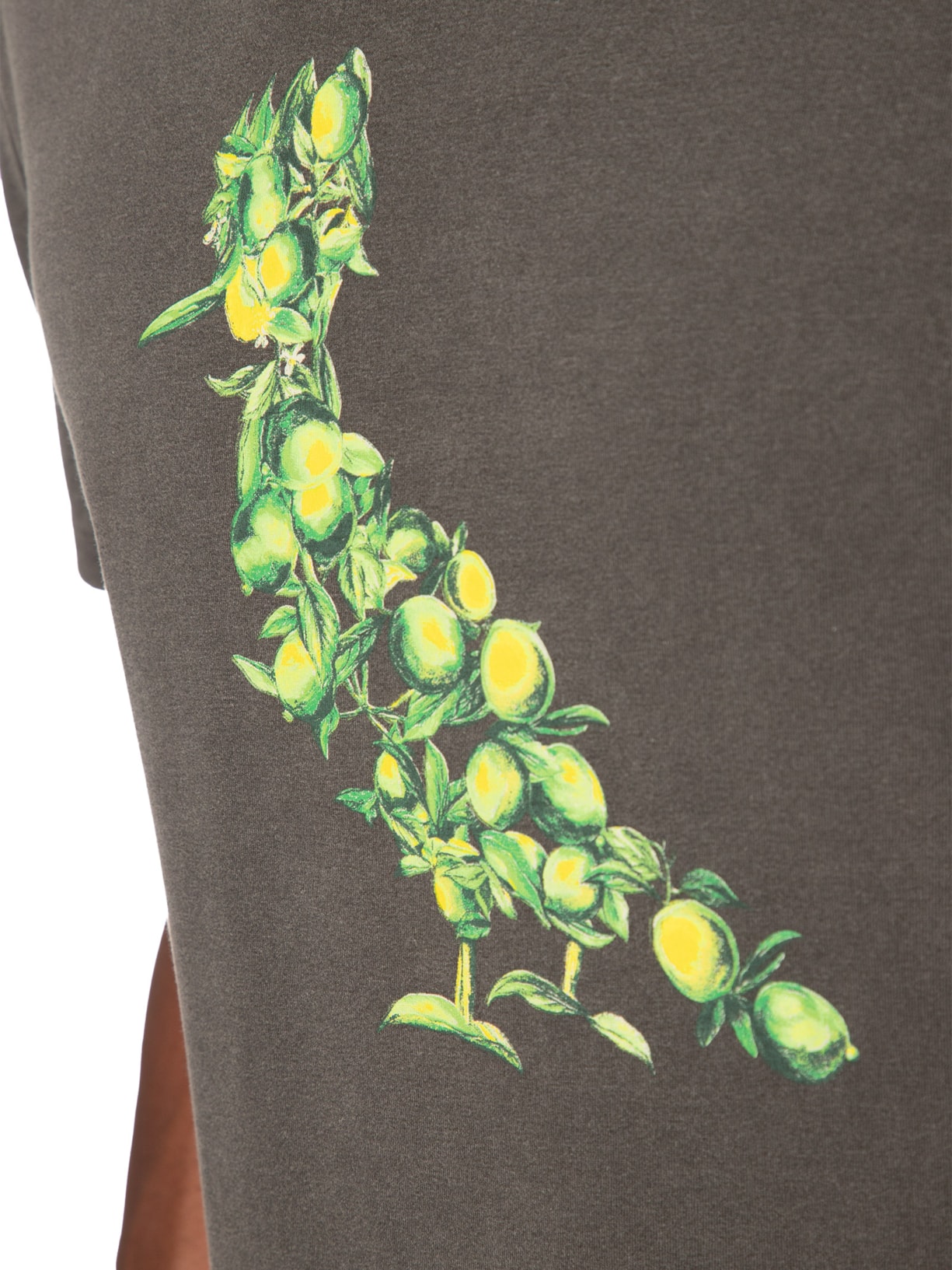 Camiseta Masculina Pica Pau Citric Summer Cinza Reserva