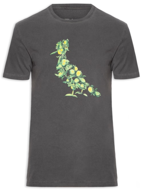 Camiseta Masculina Pica Pau Citric Summer - Cinza