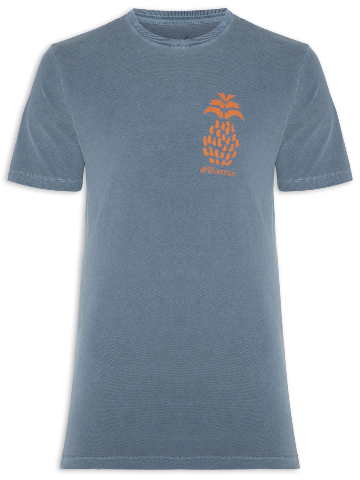 Camiseta Masculina Pina Print - Azul