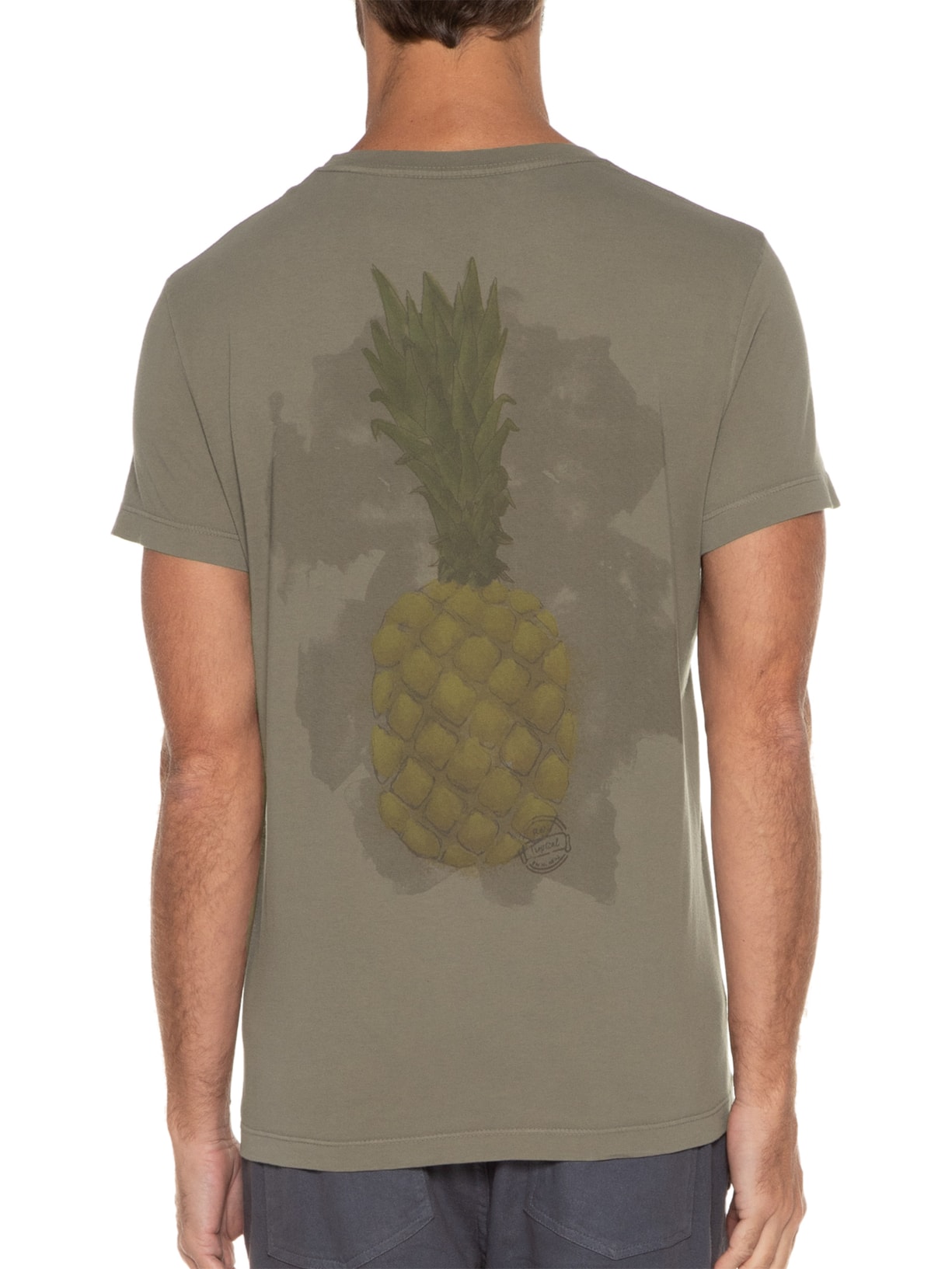 Camiseta Masculina Pineapple Costas Marrom Richards