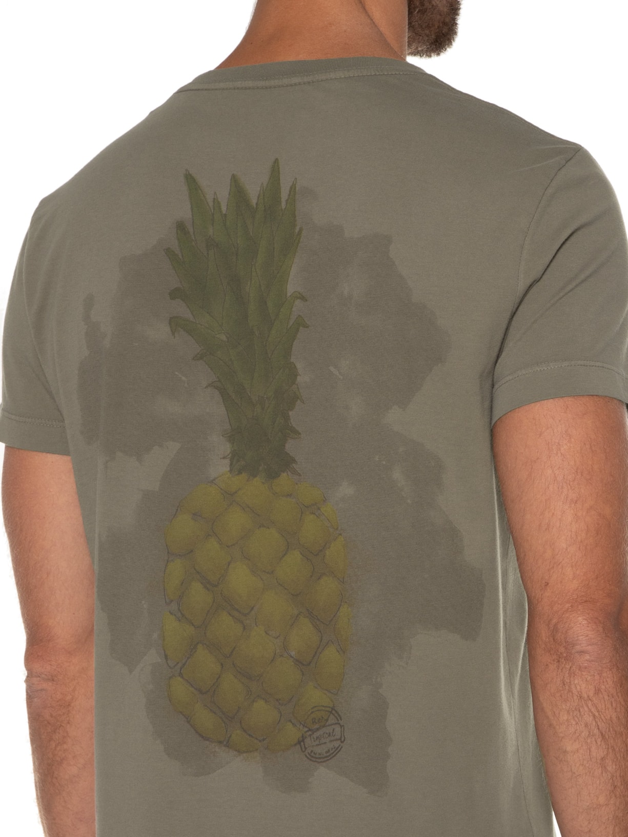 Camiseta Masculina Pineapple Costas Marrom Richards