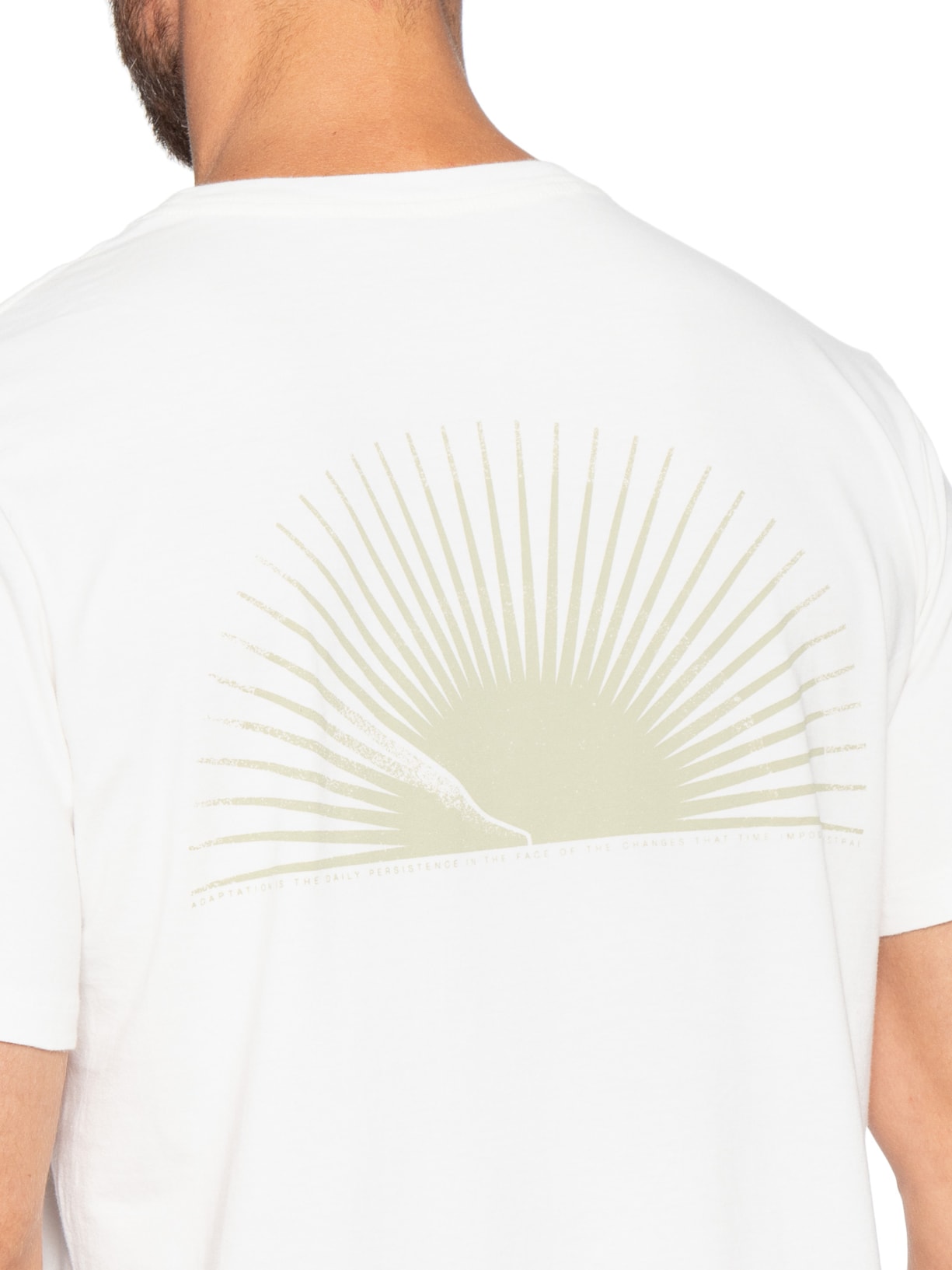 Camiseta Masculina Porco Espinho Branco Austral